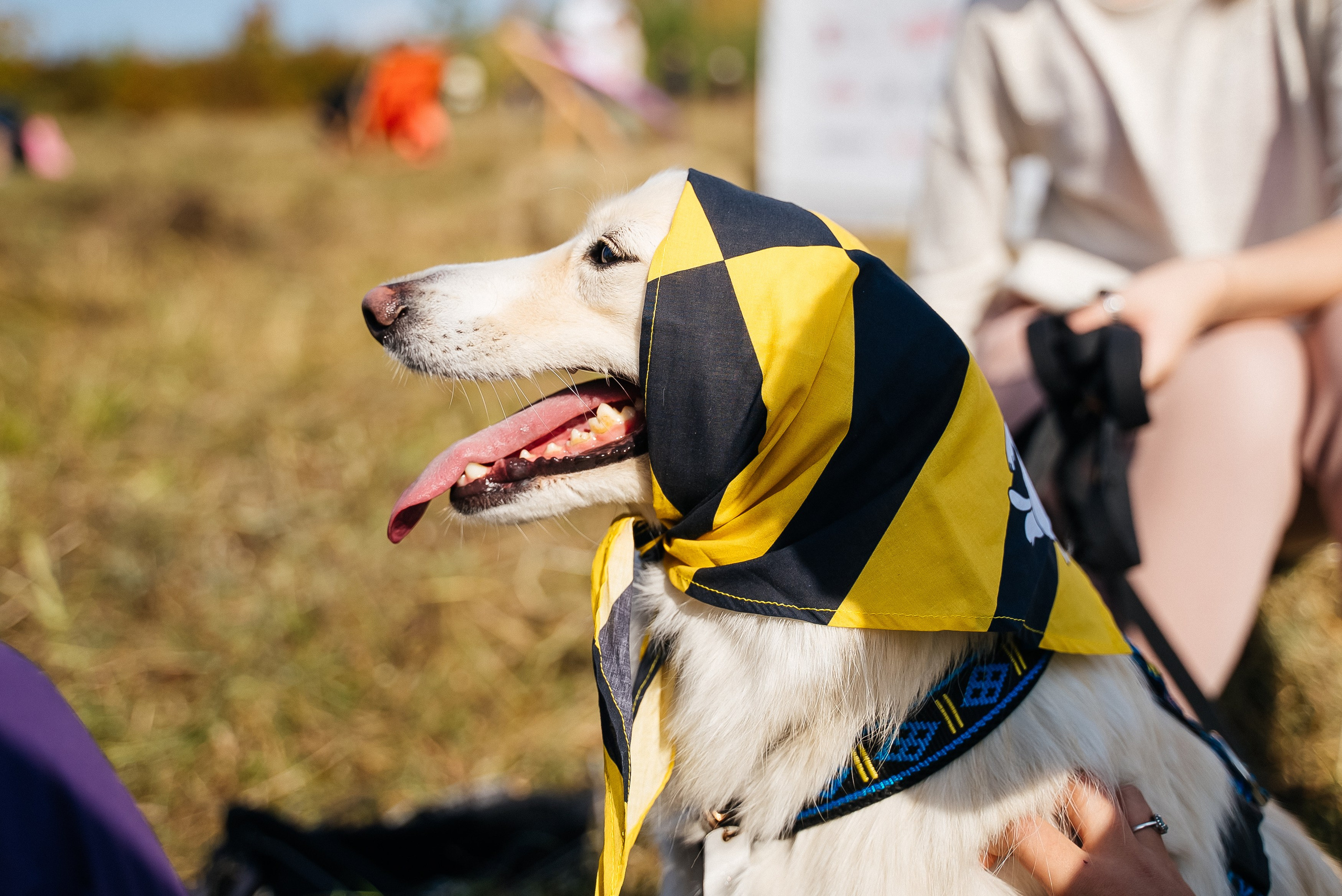 Билайн. Павел Краснов — Свадебный и репортажный фотограф в Москве