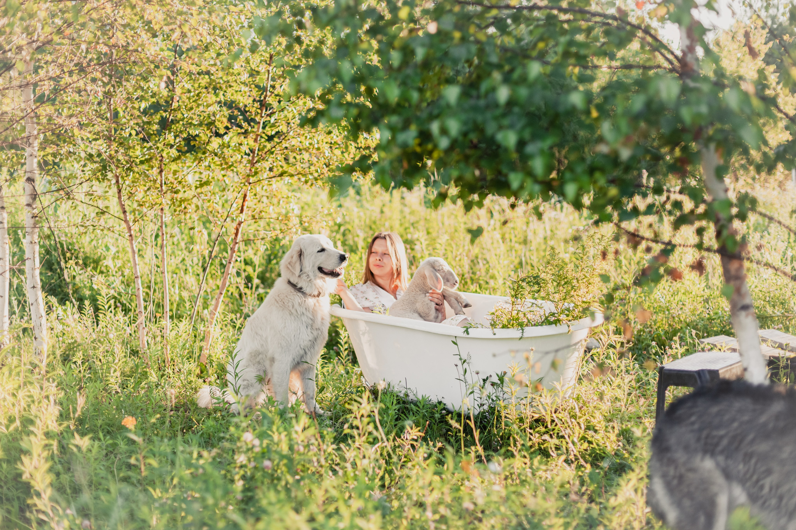 Ванна в поле. Фотограф-анималист Татьяна Степанова