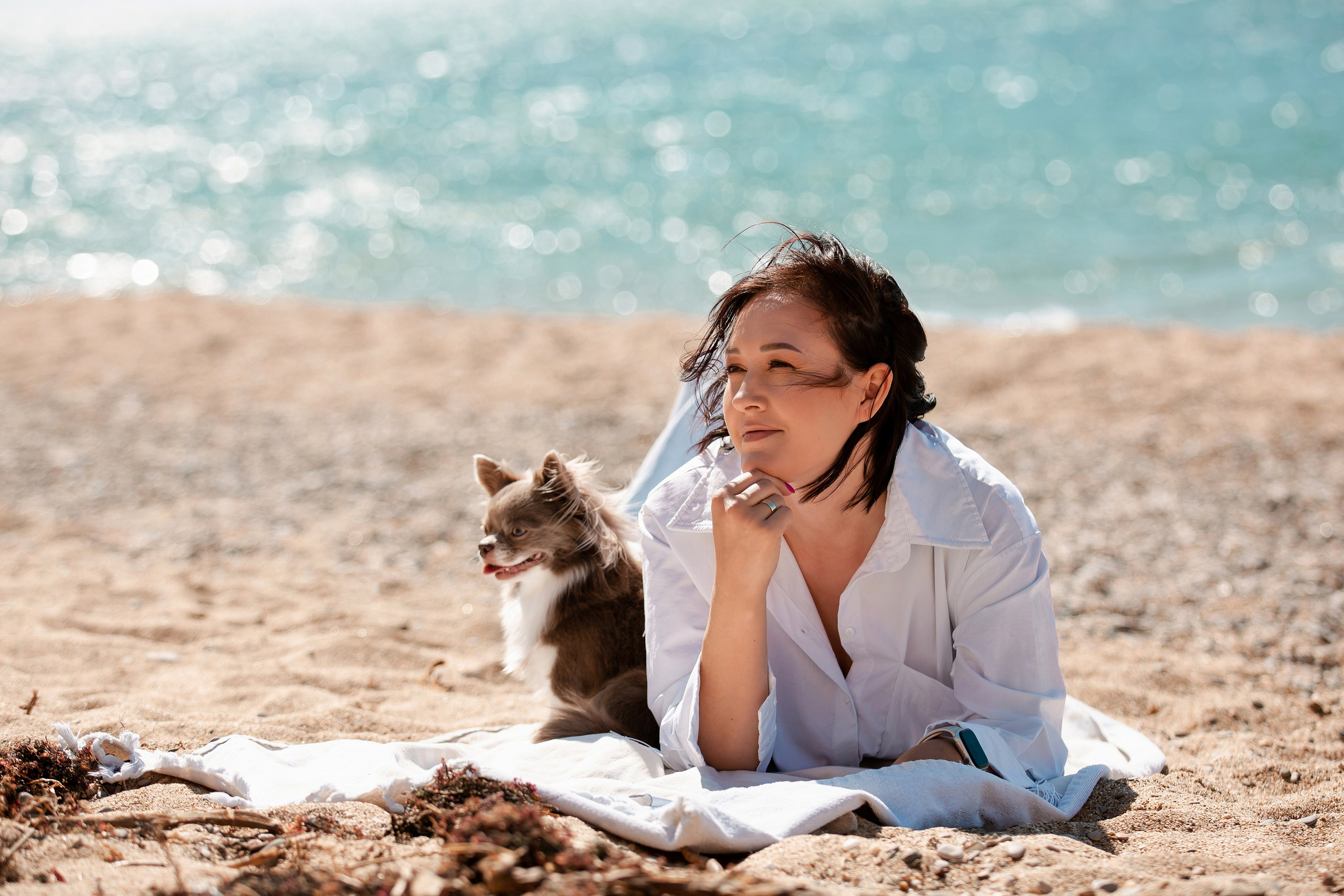 Веймаранер и чихуахуа в Крыму. Фотограф-анималист в Краснодаре Маша Мельникова