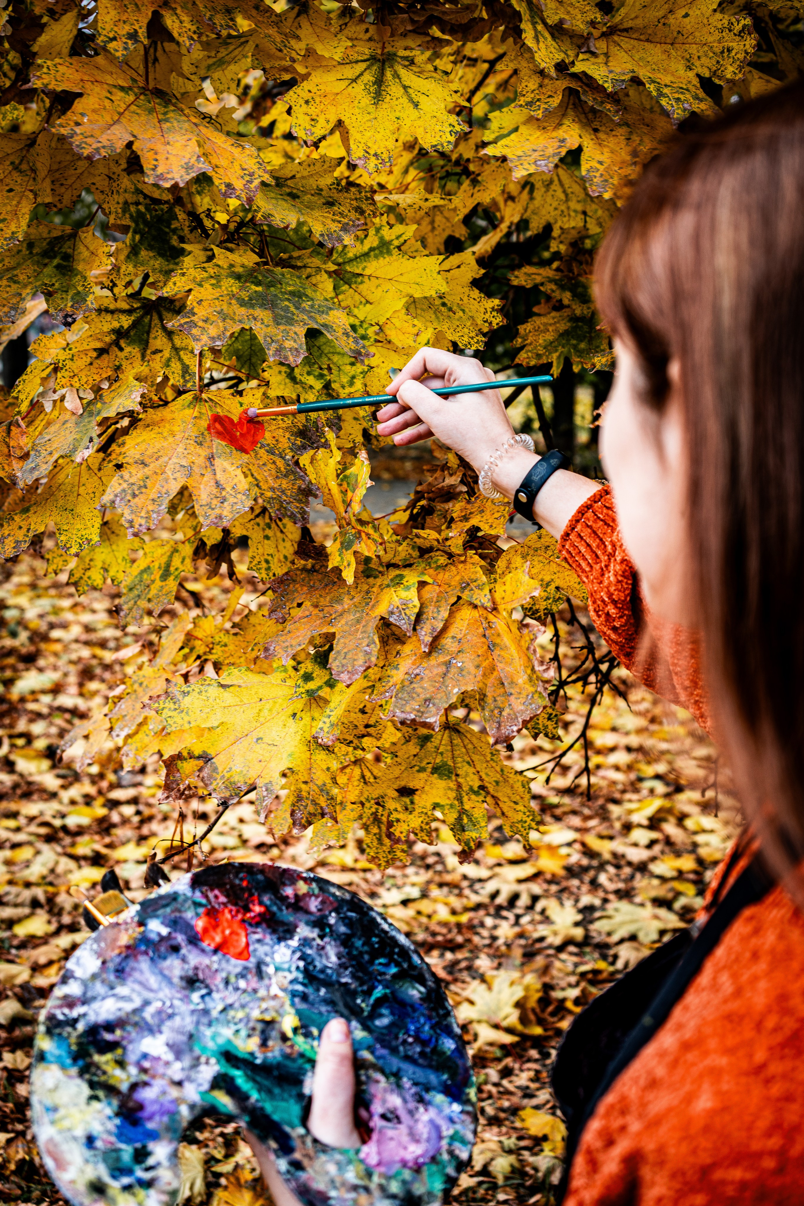 Яркая прогулка среди осенней листвы. Фотограф в РФ и ЛНР Юлия Федосеева