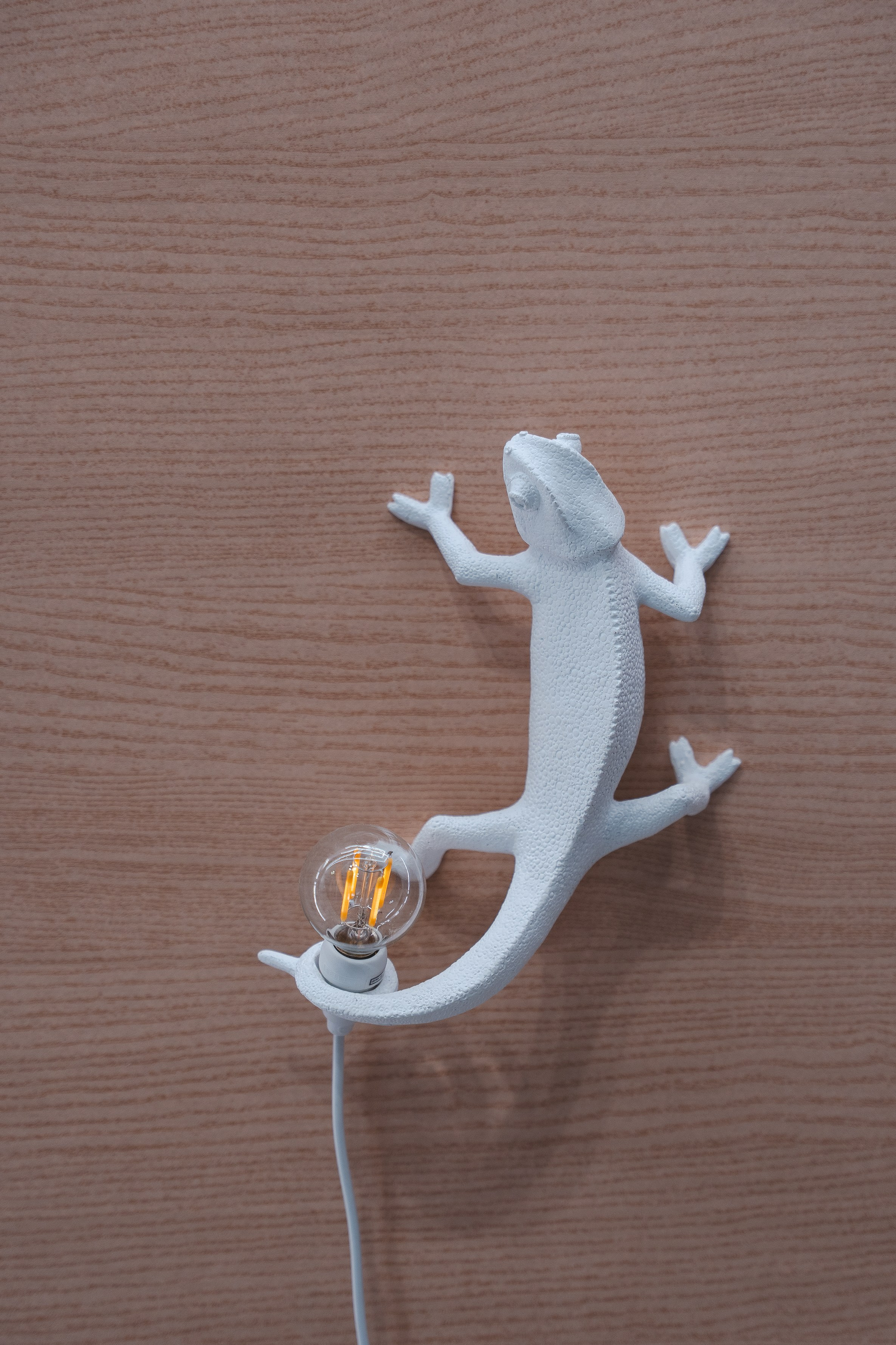 DEJNEV. Фотограф Хабаровск