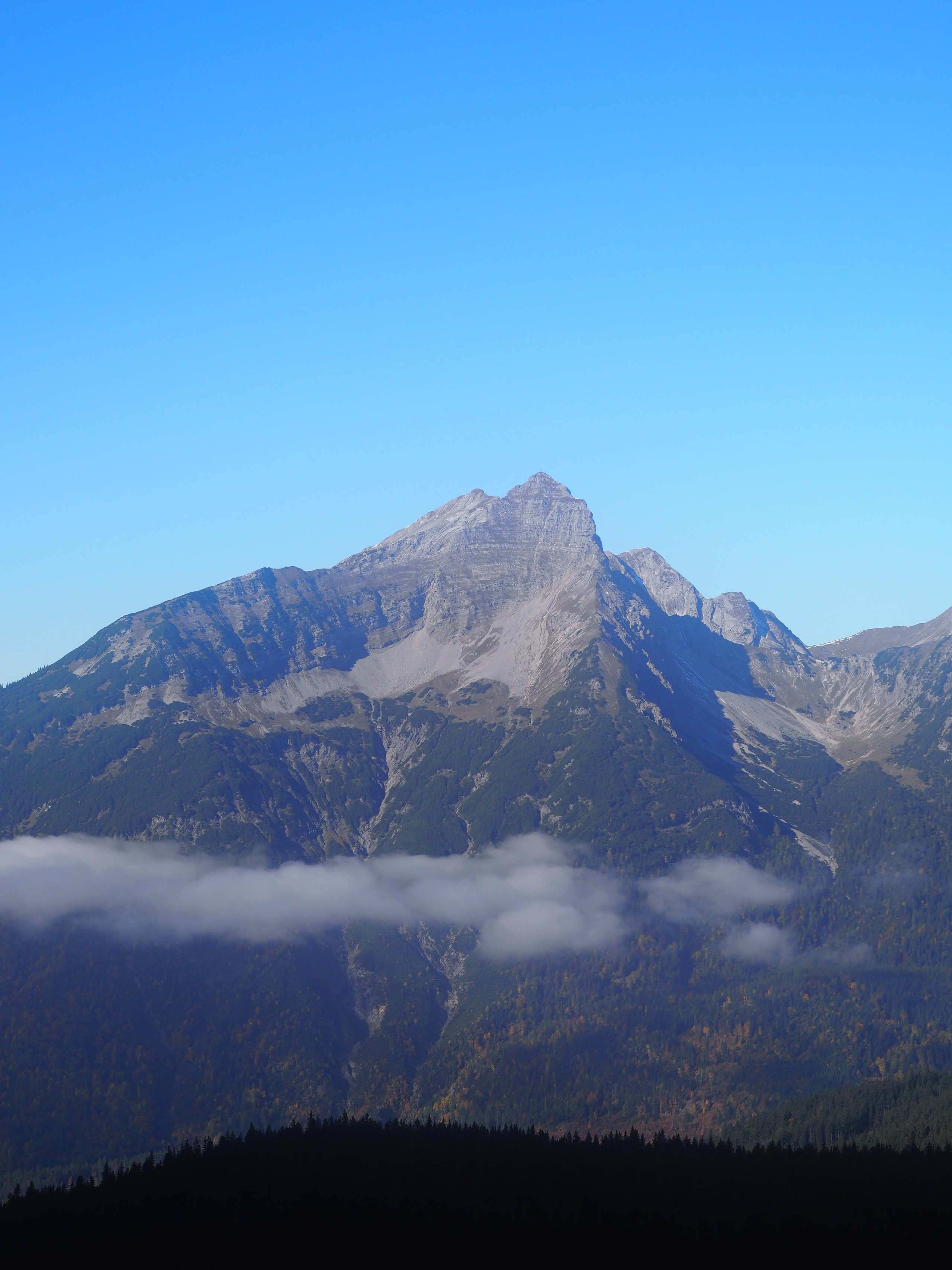 Природа. Семейный фотограф в Красноярске Лизоркина Вера