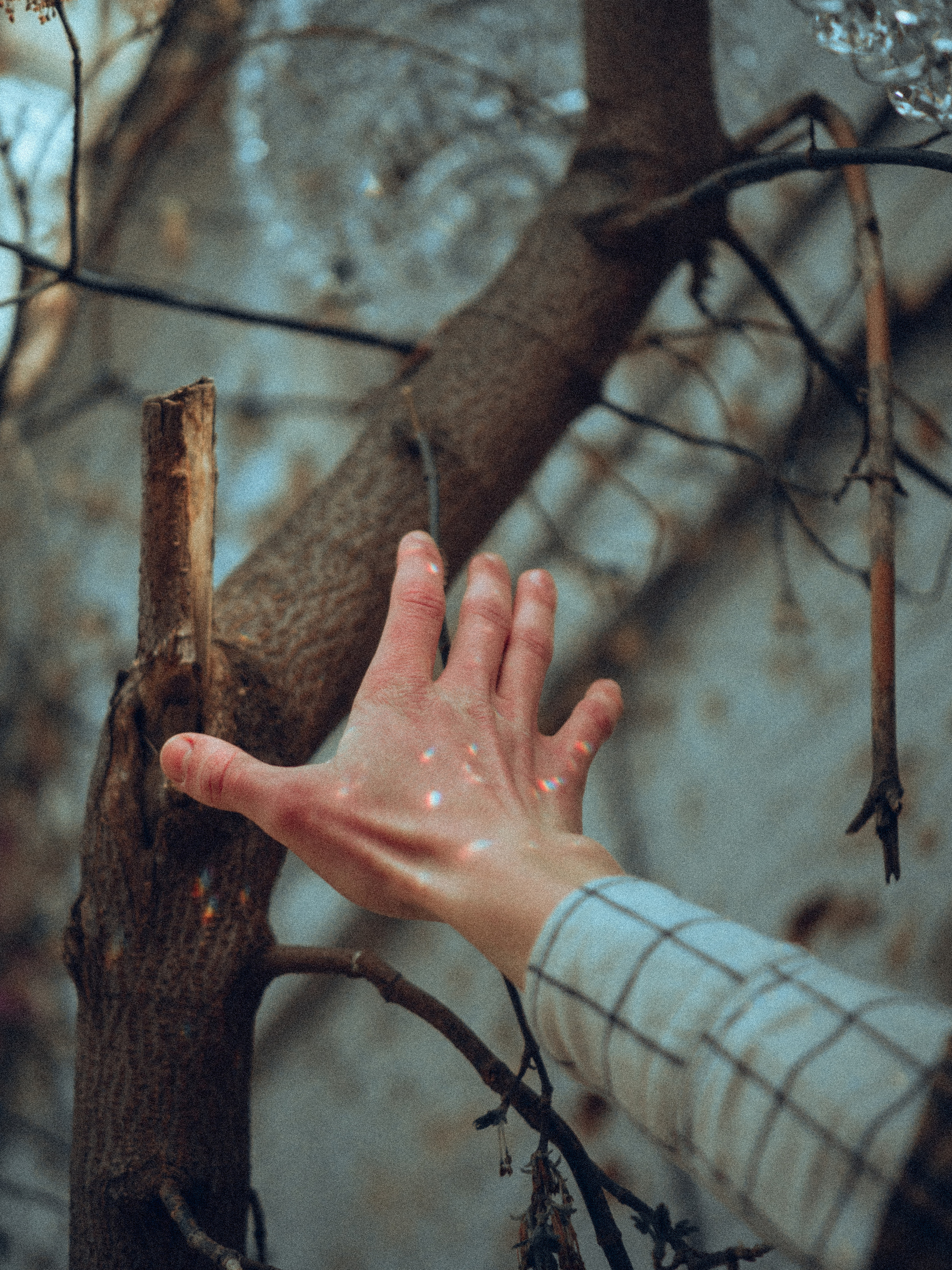 Портрет художника. Фотограф и видеограф в Благовещенске и Санкт-Петербурге Мурыгина Мария