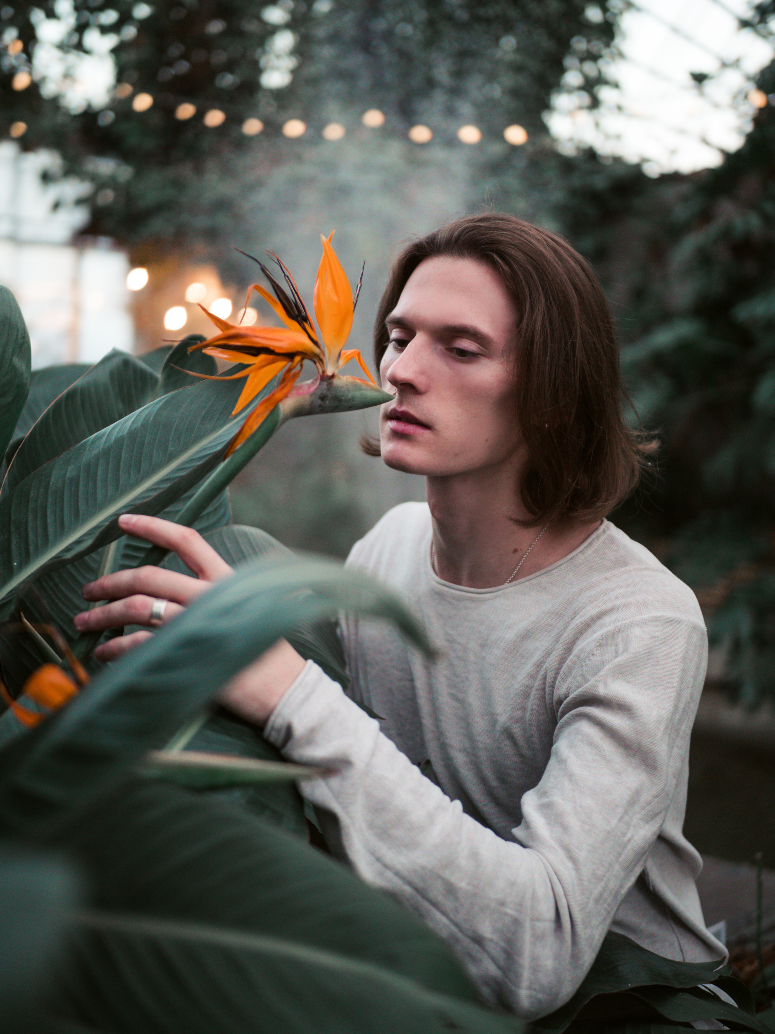 Ботанический сад. Фотограф и видеограф в Благовещенске и Санкт-Петербурге Мурыгина Мария