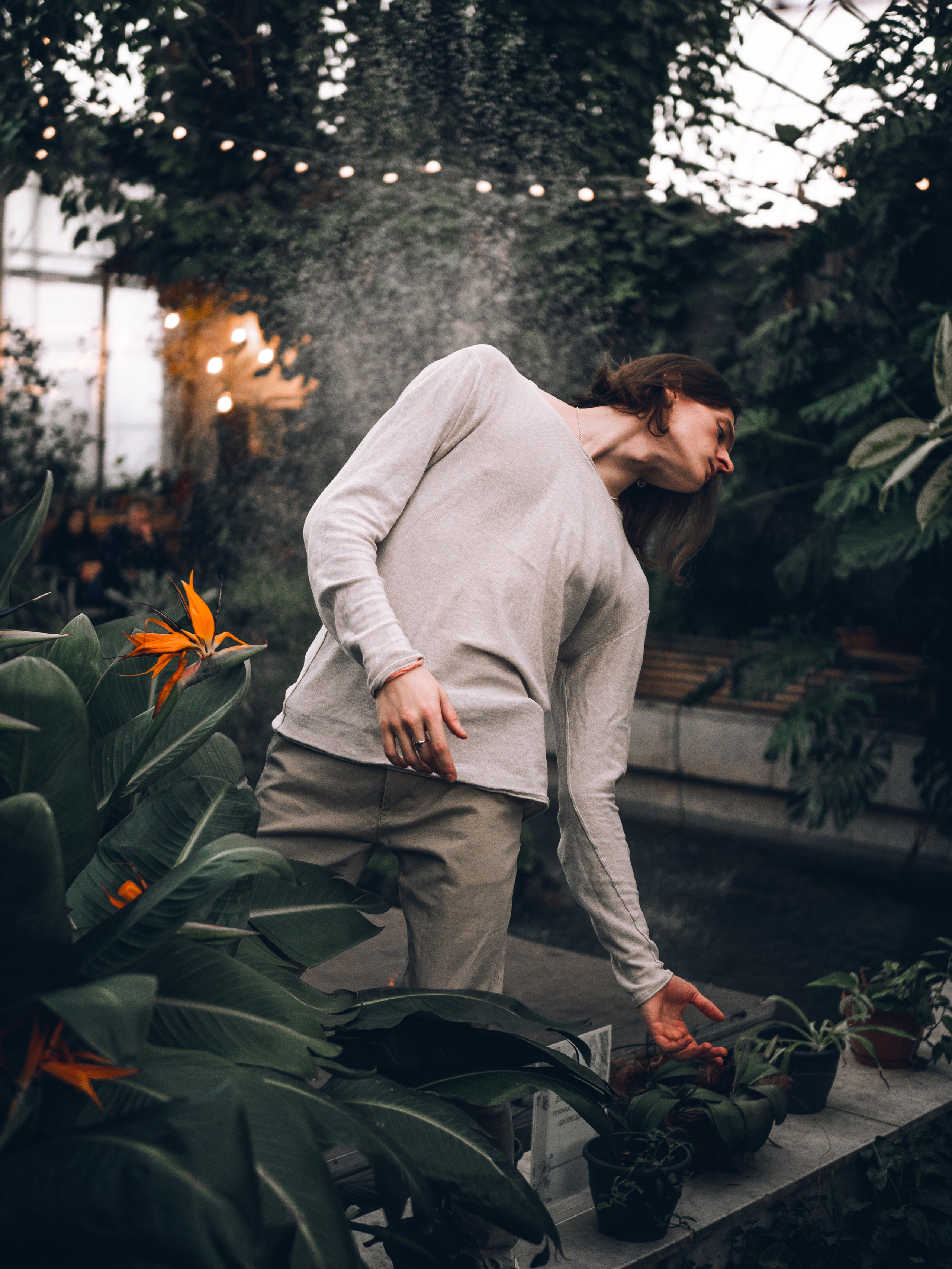 Ботанический сад. Фотограф и видеограф в Благовещенске и Санкт-Петербурге Мурыгина Мария