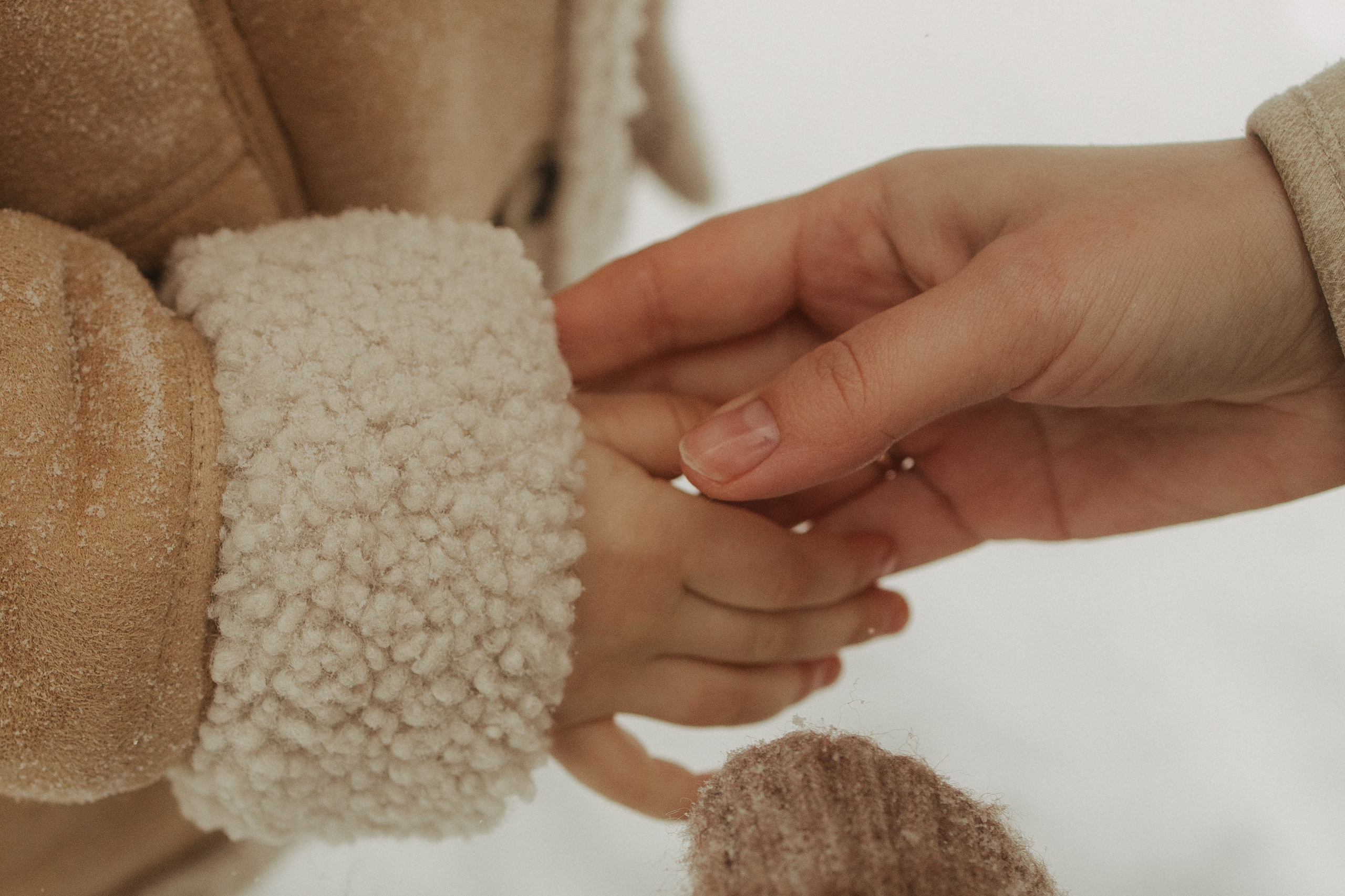 Снежный лес. Фотограф Анастасия Бобылева, Москва и Московская область