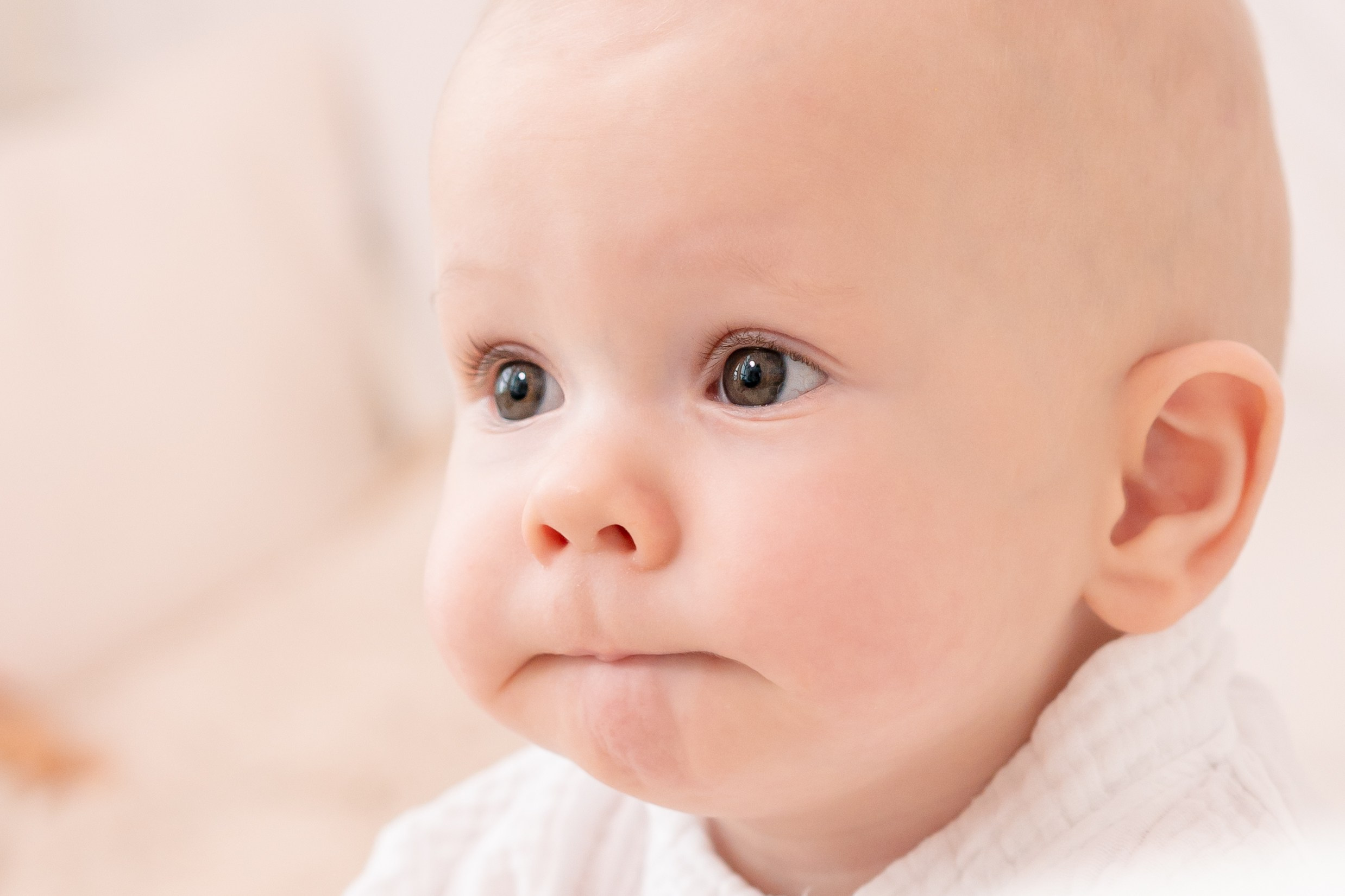6 месяцев, пол года малышу. Детская, семейная фотостудия в Санкт-Петербурге