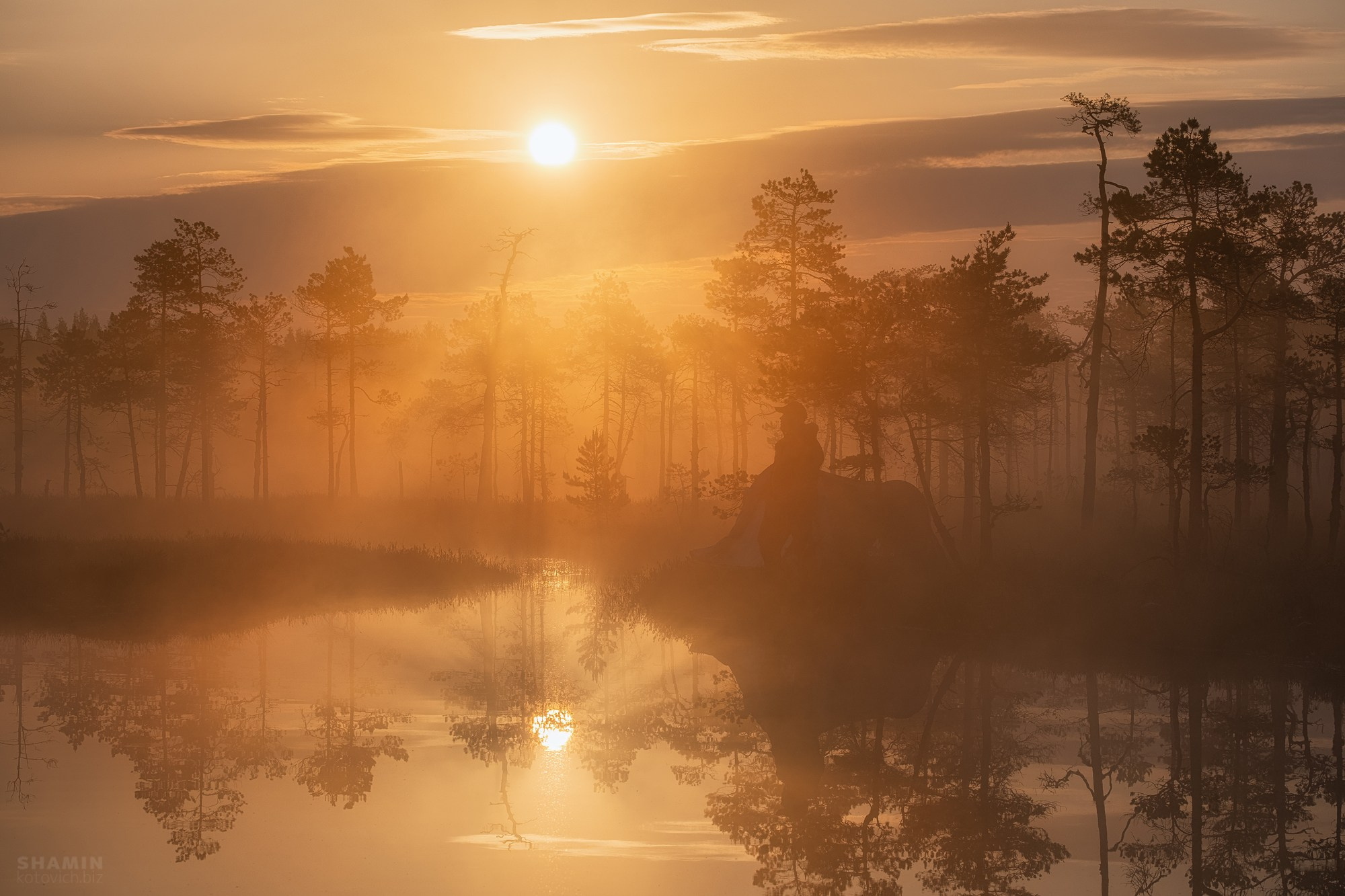 Пейзажи Ленинградской области — озёра, болота, побережье Финского залива, леса и рассветы Северо-Запада России. Природа и свет Ленинградской области. Фотограф Константин Шамин