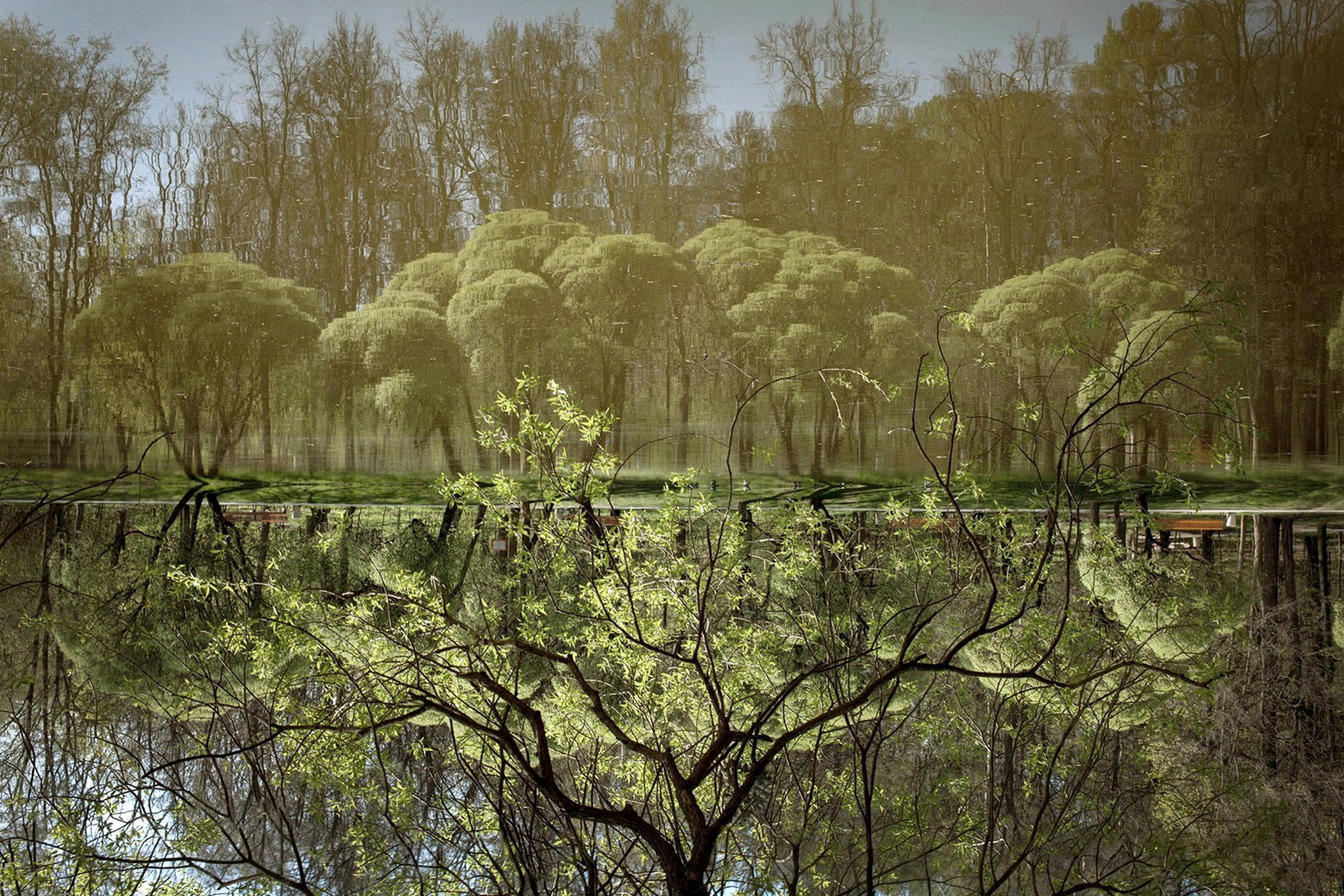 Симуляторы (Каталог № 1). Главная