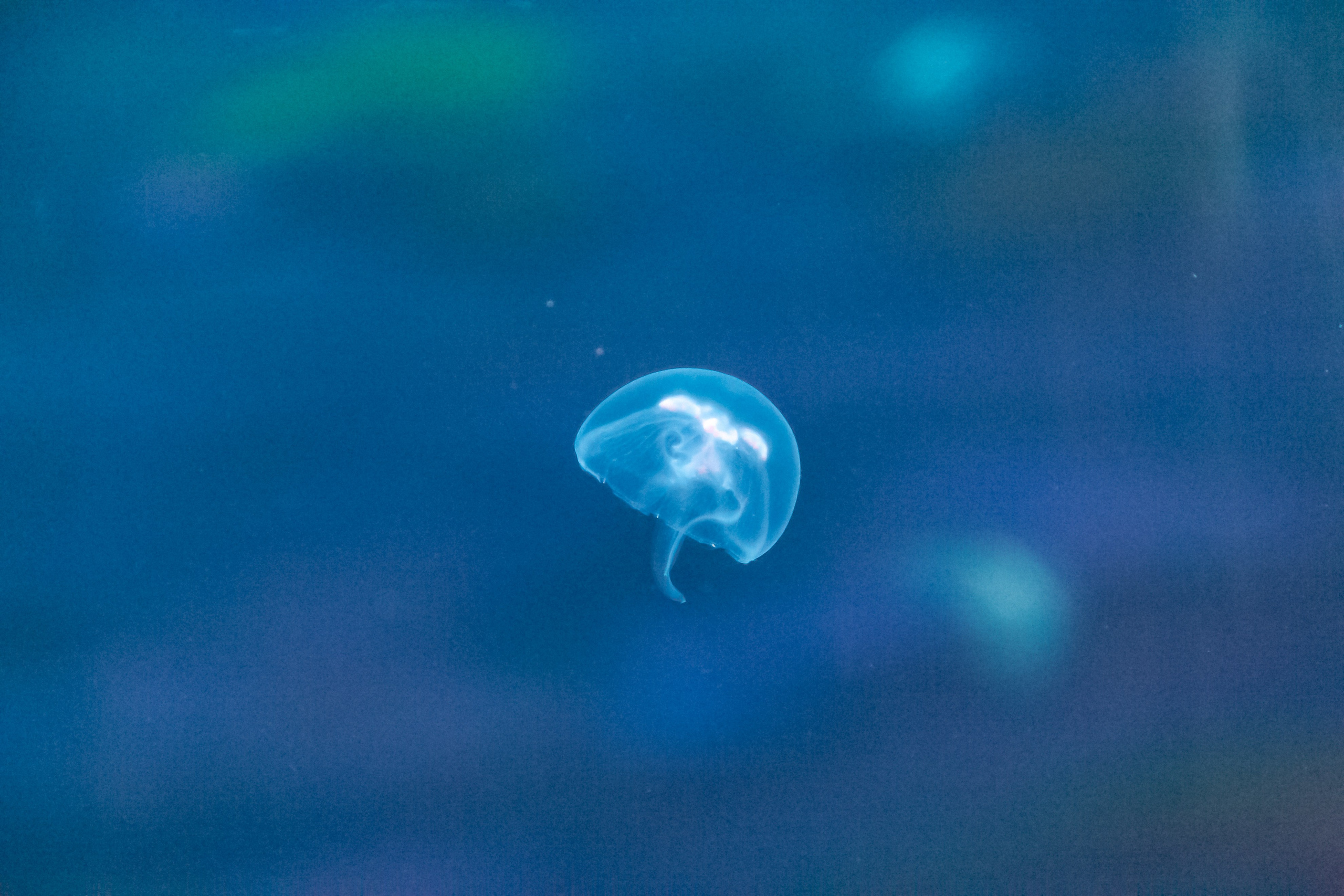 Астана 2025. Светлая сторона