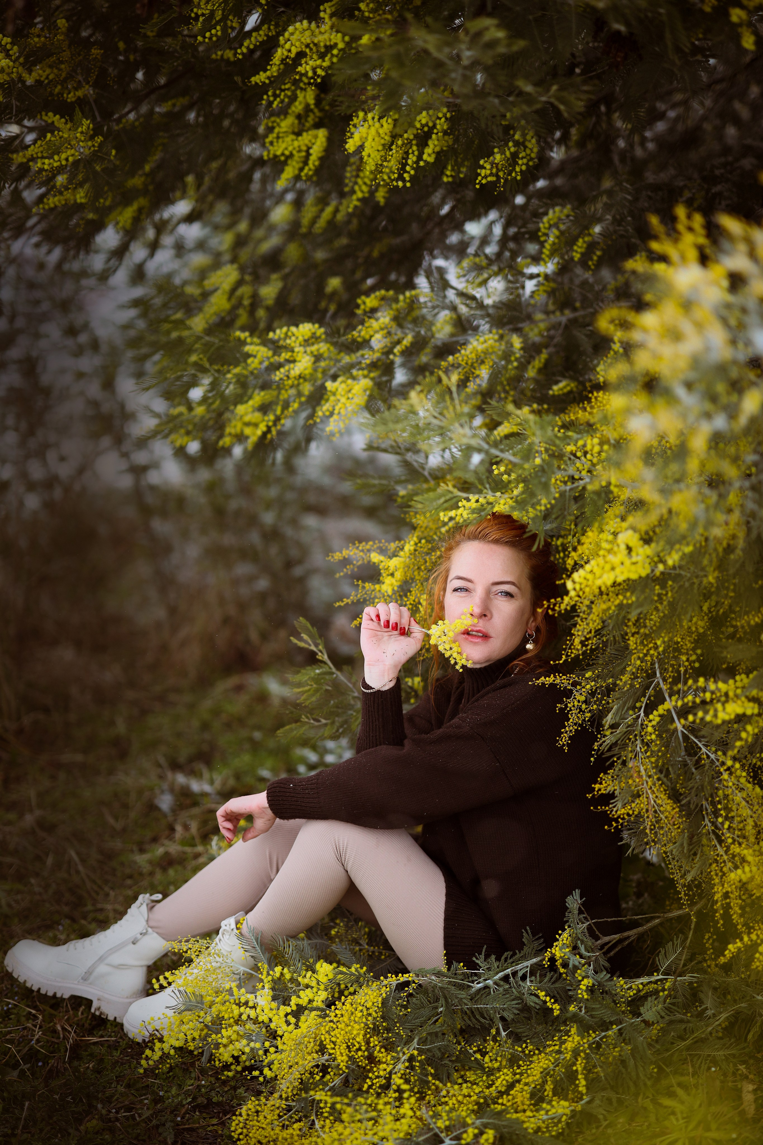 девушка у дерева мимозы, сад мимозы в Сухуми, Абхазия