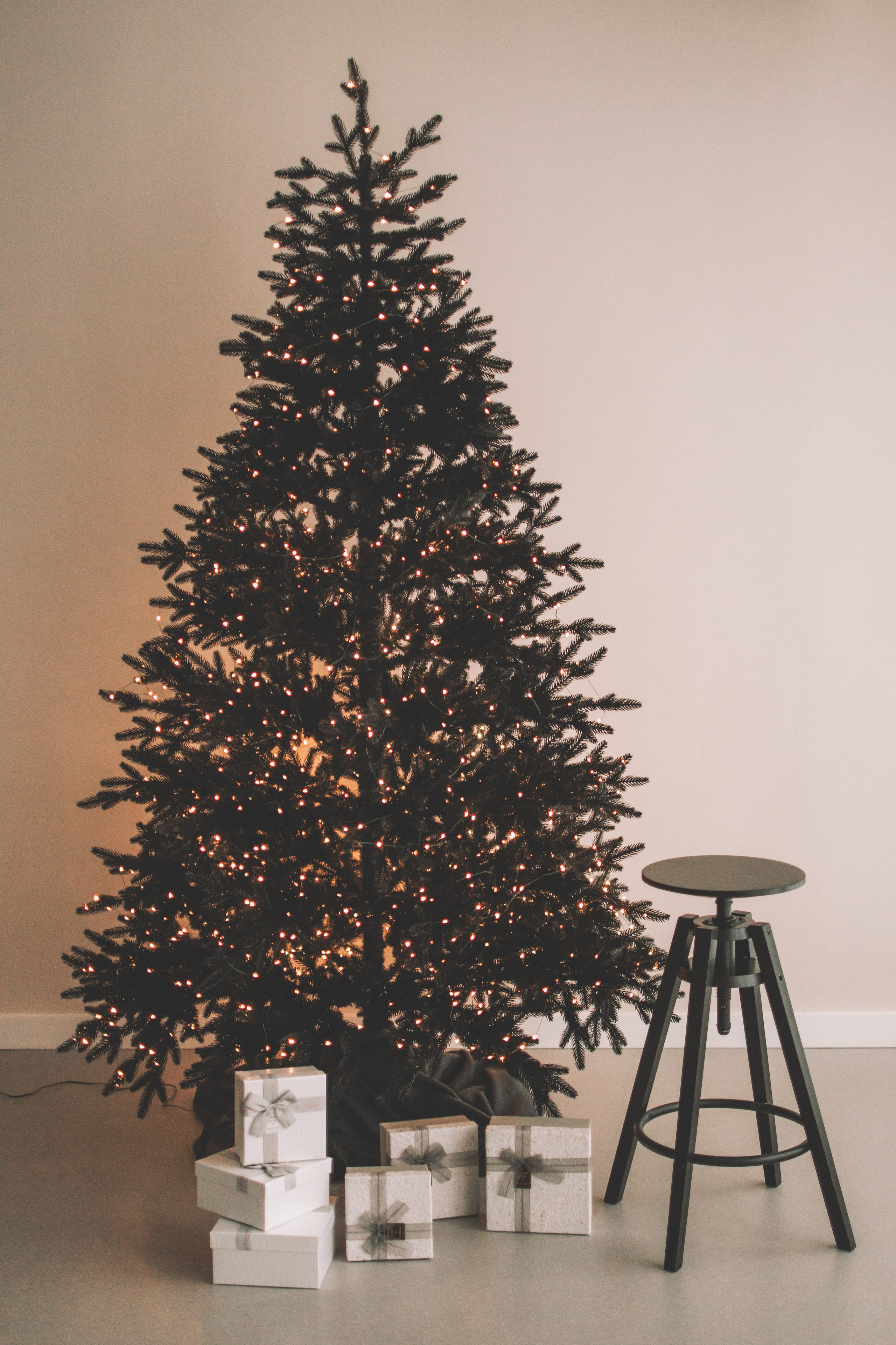 Евгения+Милкис. Семейный и свадебный фотограф Губкинский и Ставрополь