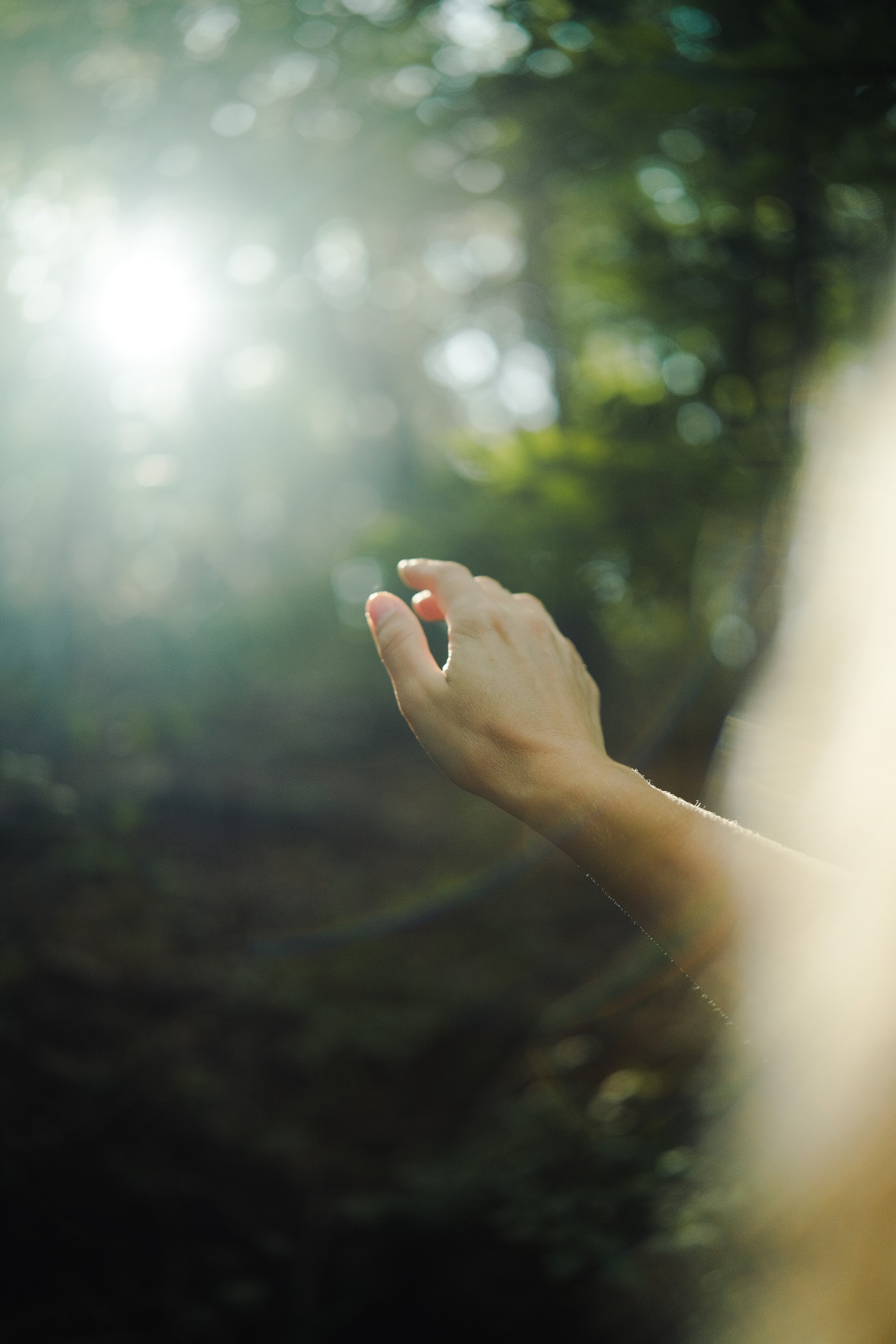 Анастасия. Съемка в лесу на горе Куш-кая в Крыму. Фотограф и видеограф в Севастополе. Владислав