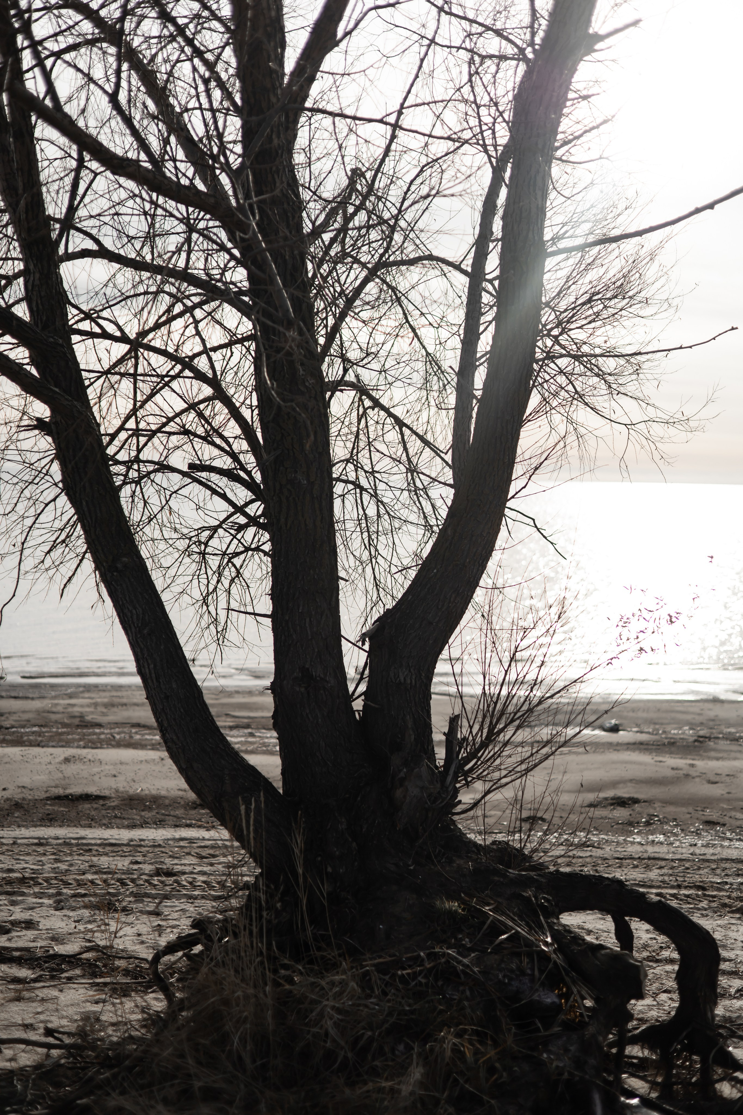 ИГОРЬ. Фотограф Элла Ефимова