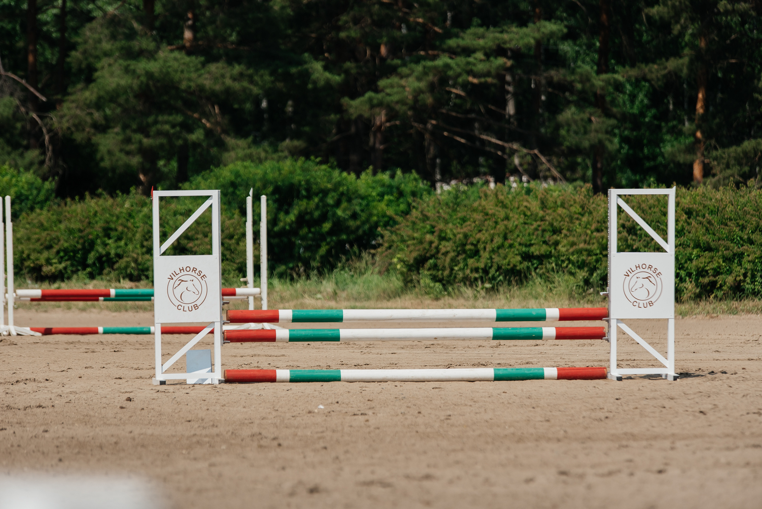 ВНИИК 17.06.2023. Кубок Евпатия Коловрата. Конкур. Фотограф Рязань