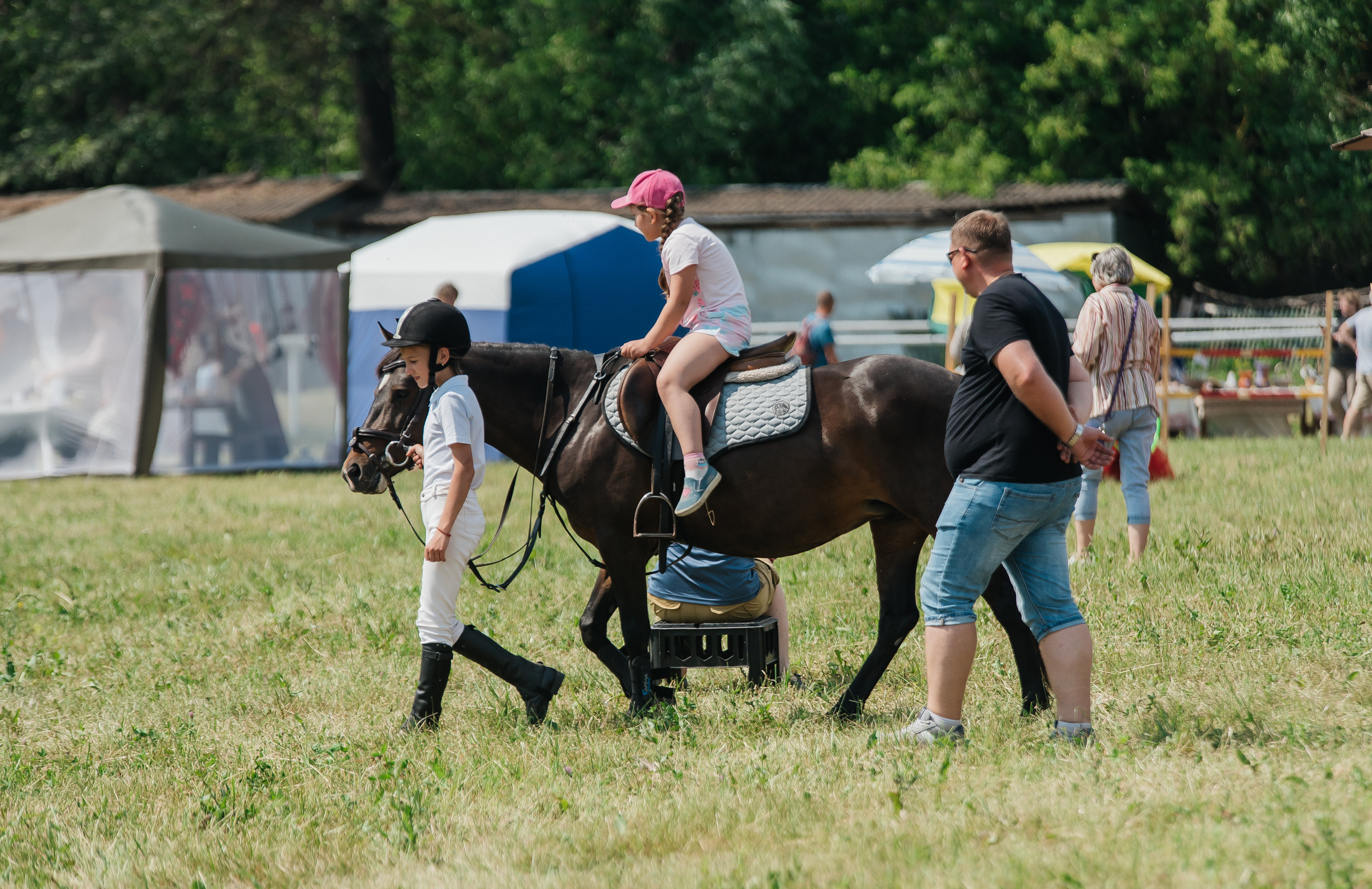ВНИИК 17.06.2023. Кубок Евпатия Коловрата. Конкур. Фотограф Рязань