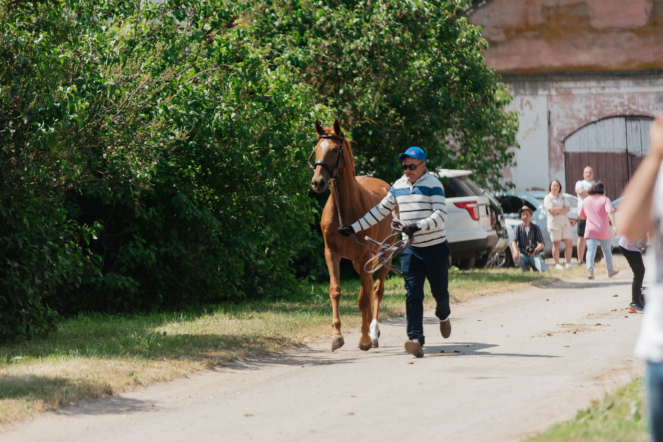 ВНИИК 17.06.2023. Кубок Евпатия Коловрата. Конкур. Фотограф Рязань