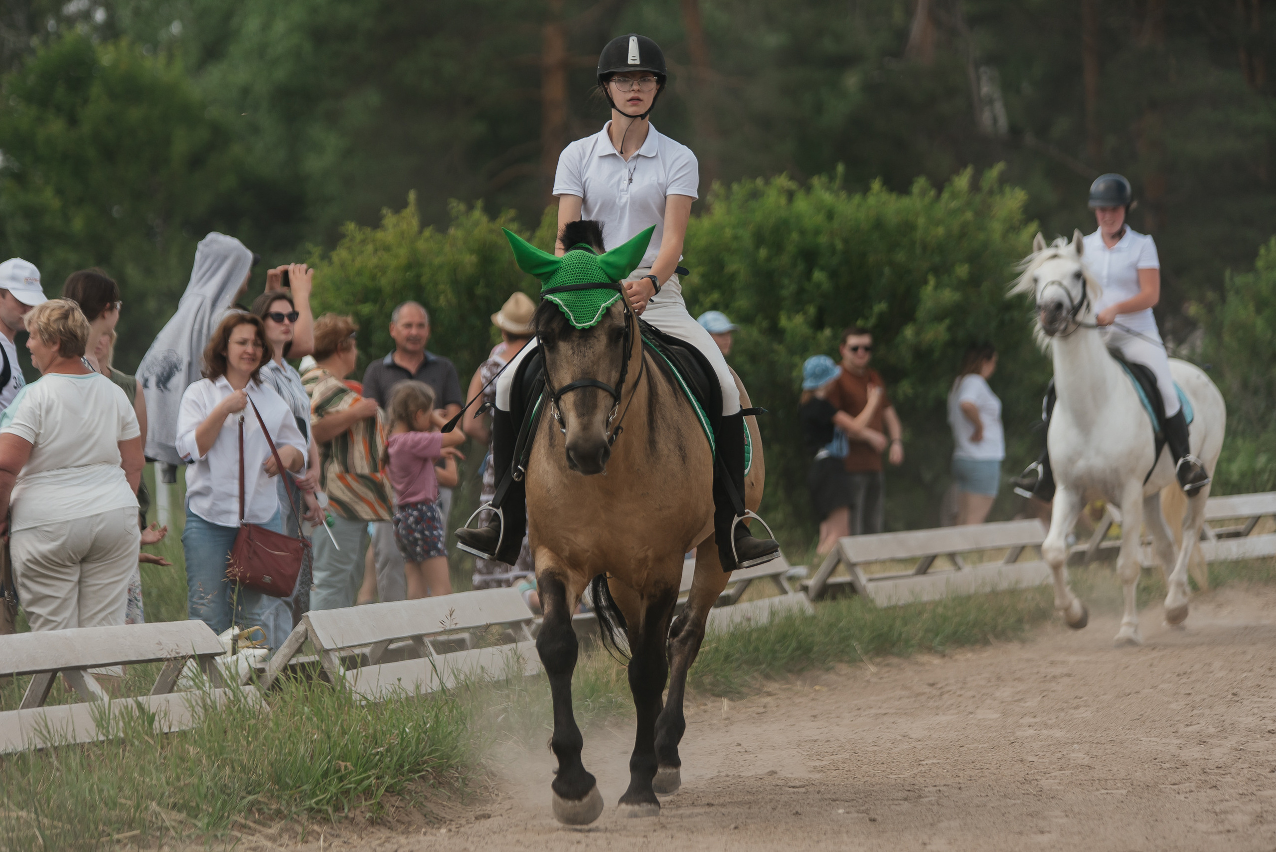 ВНИИК 17.06.2023. Кубок Евпатия Коловрата. Конкур. Фотограф Рязань