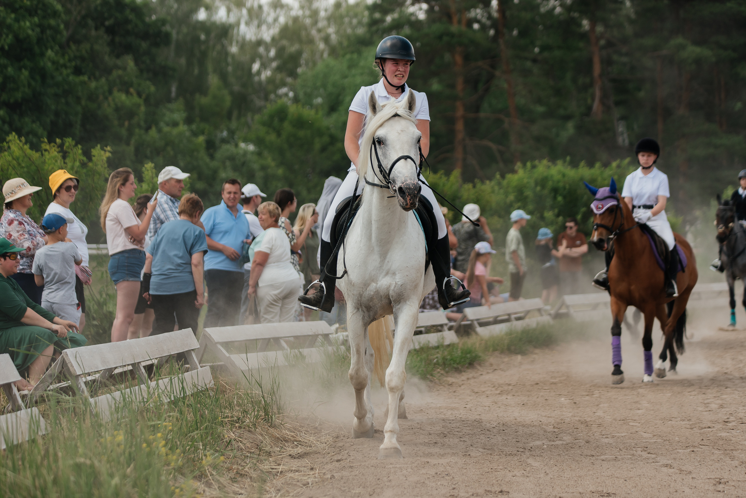ВНИИК 17.06.2023. Кубок Евпатия Коловрата. Конкур. Фотограф Рязань