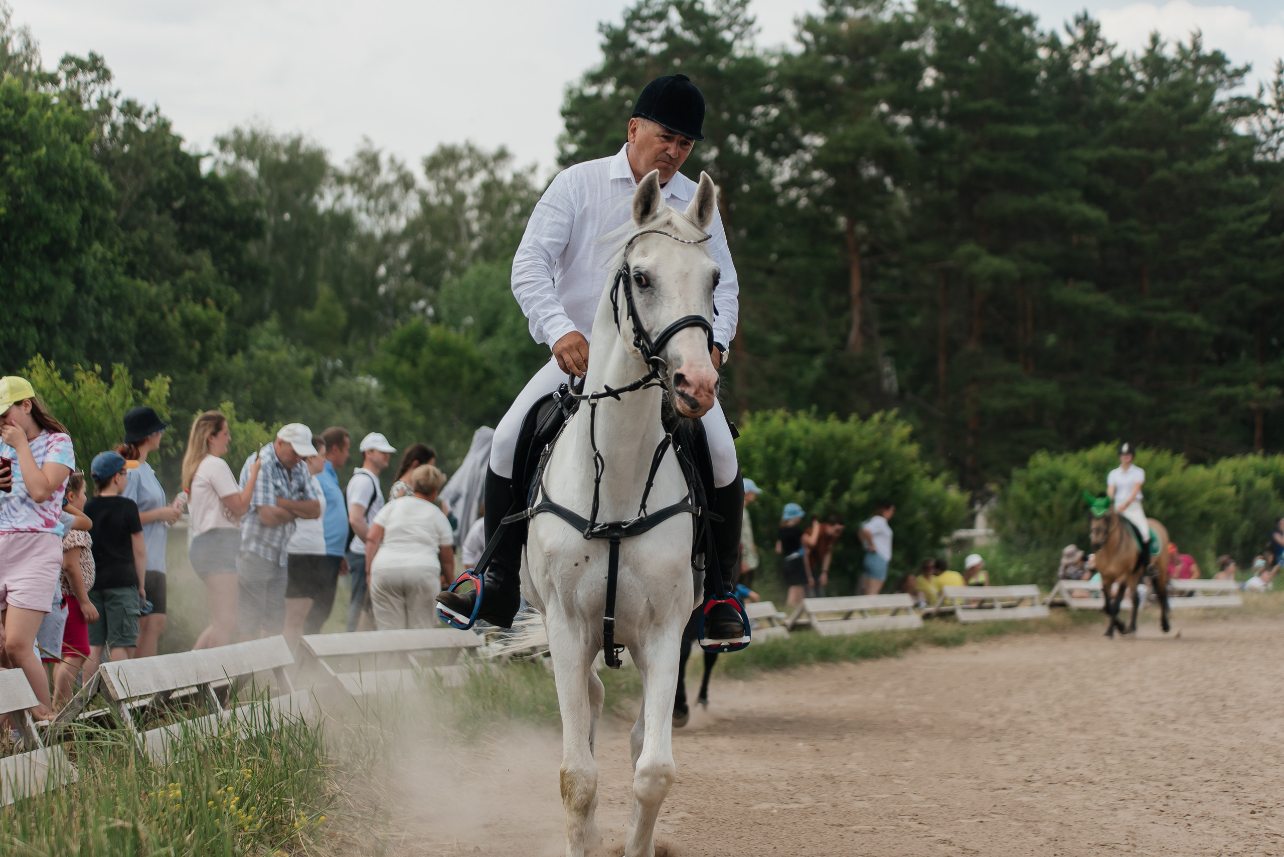 ВНИИК 17.06.2023. Кубок Евпатия Коловрата. Конкур. Фотограф Рязань