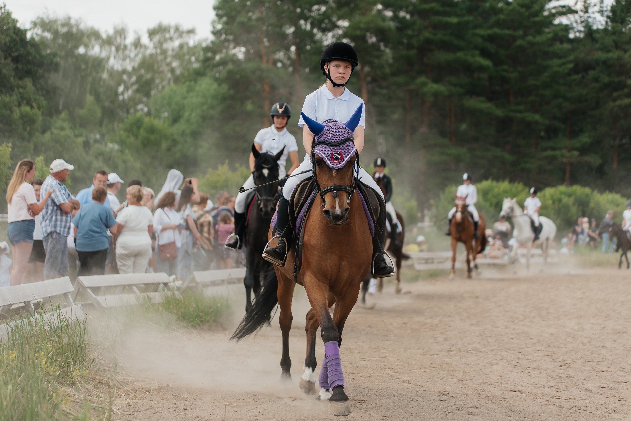 ВНИИК 17.06.2023. Кубок Евпатия Коловрата. Конкур. Фотограф Рязань