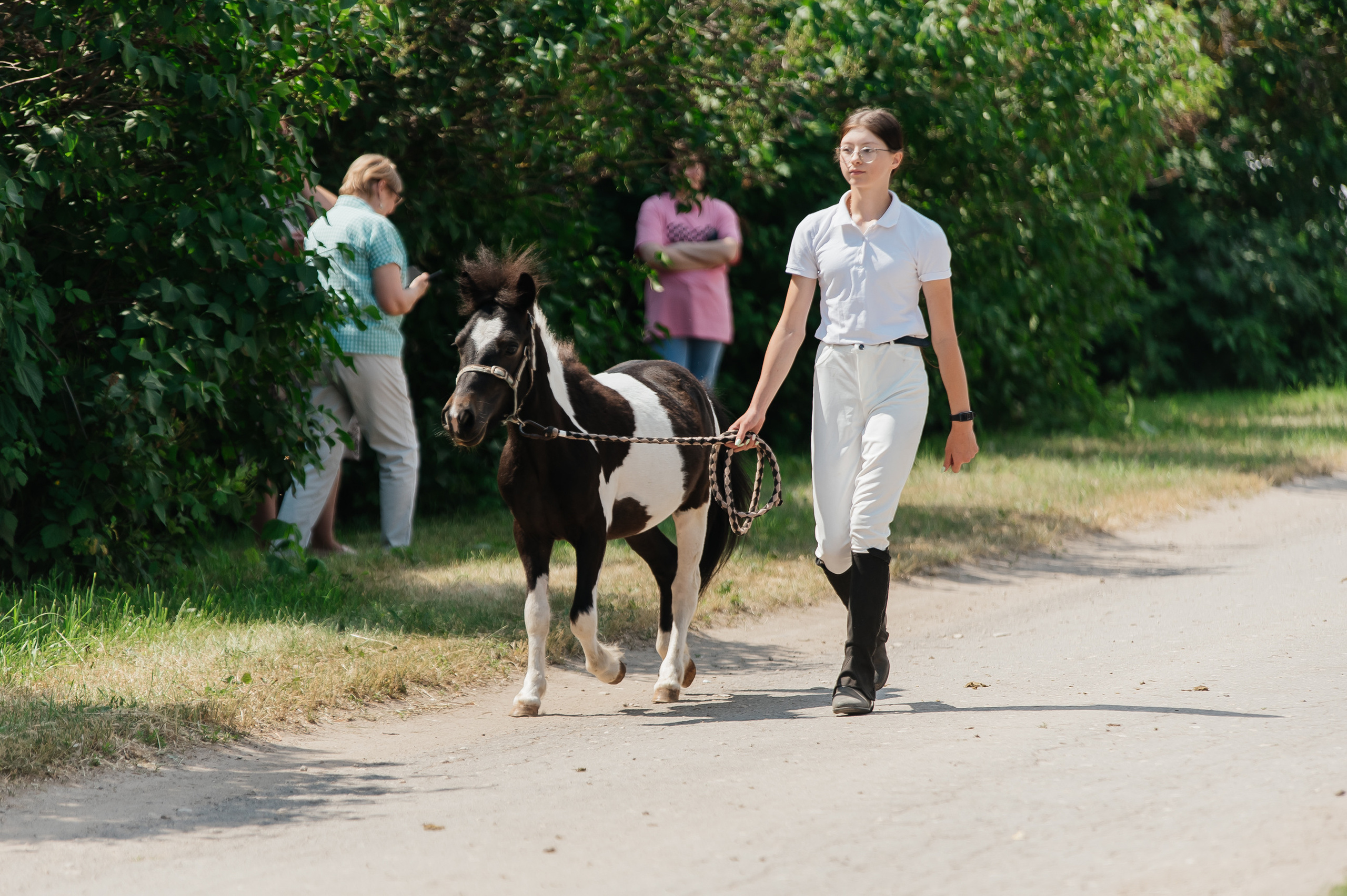 ВНИИК 17.06.2023. Кубок Евпатия Коловрата. Конкур. Фотограф Рязань
