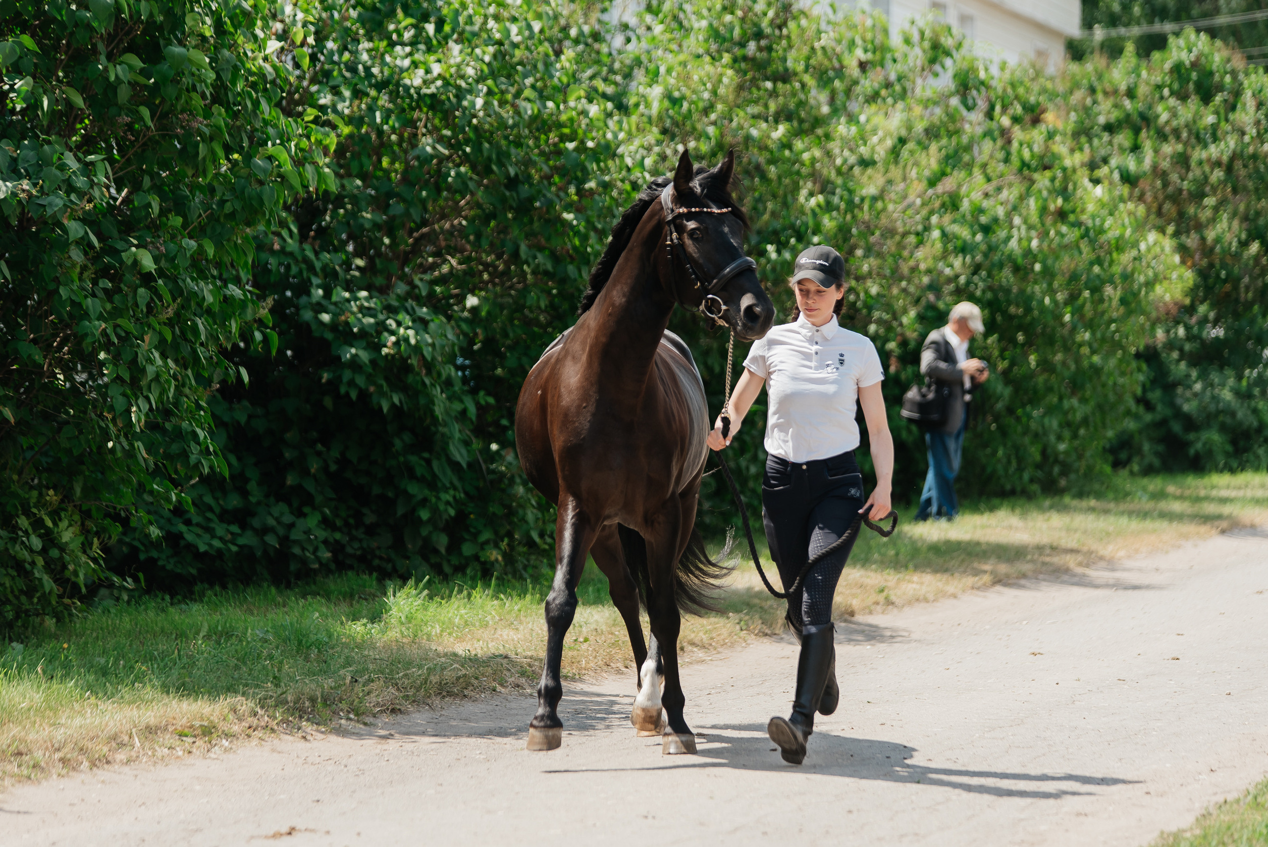 ВНИИК 17.06.2023. Кубок Евпатия Коловрата. Конкур. Фотограф Рязань