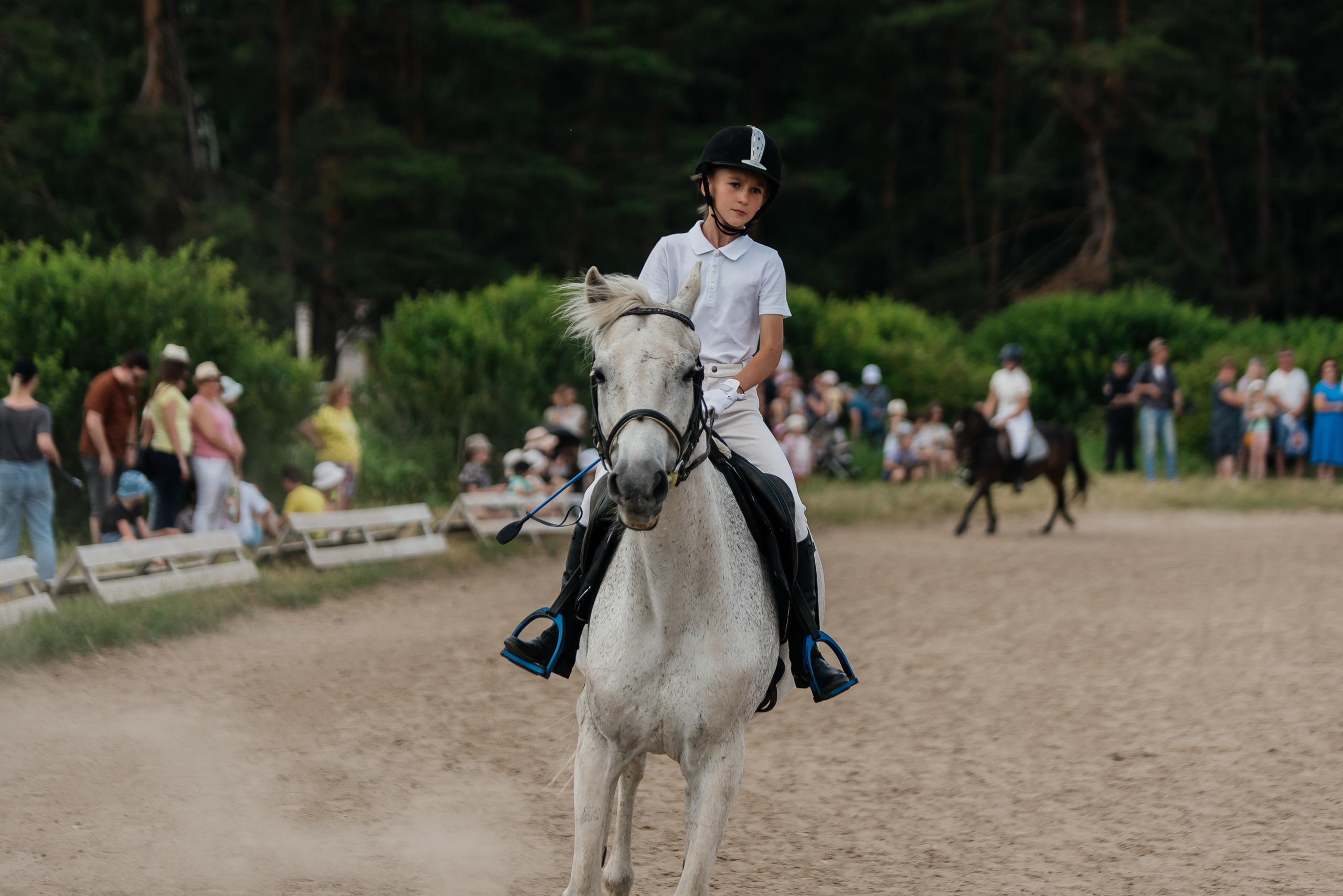 ВНИИК 17.06.2023. Кубок Евпатия Коловрата. Конкур. Фотограф Рязань
