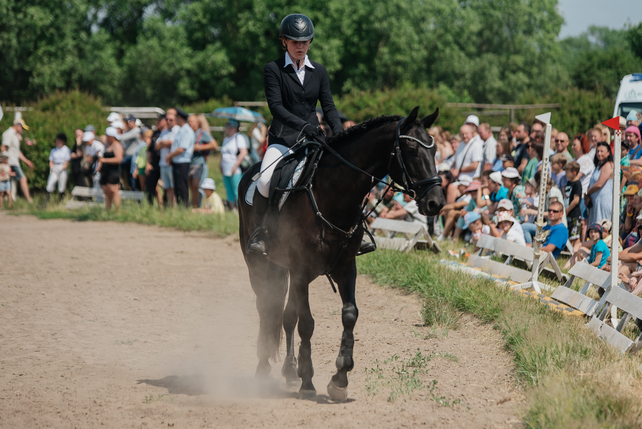 ВНИИК 17.06.2023. Кубок Евпатия Коловрата. Конкур. Фотограф Рязань