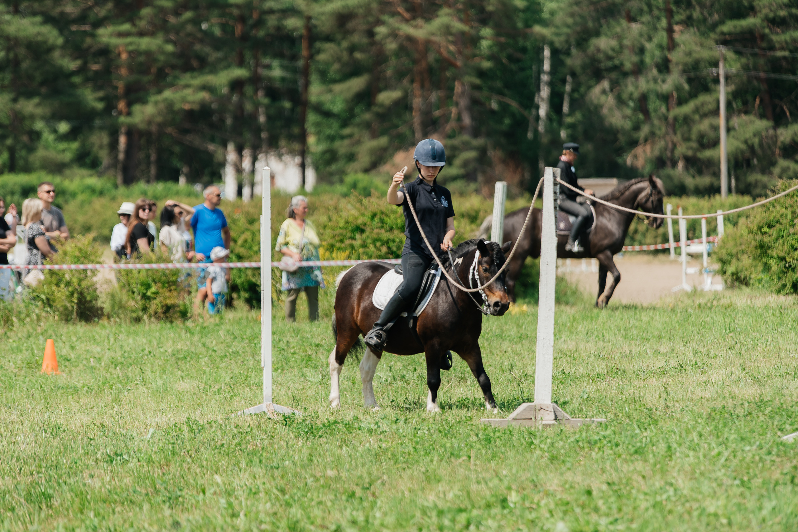 ВНИИК 17.06.2023. Кубок Евпатия Коловрата. Конкур. Фотограф Рязань