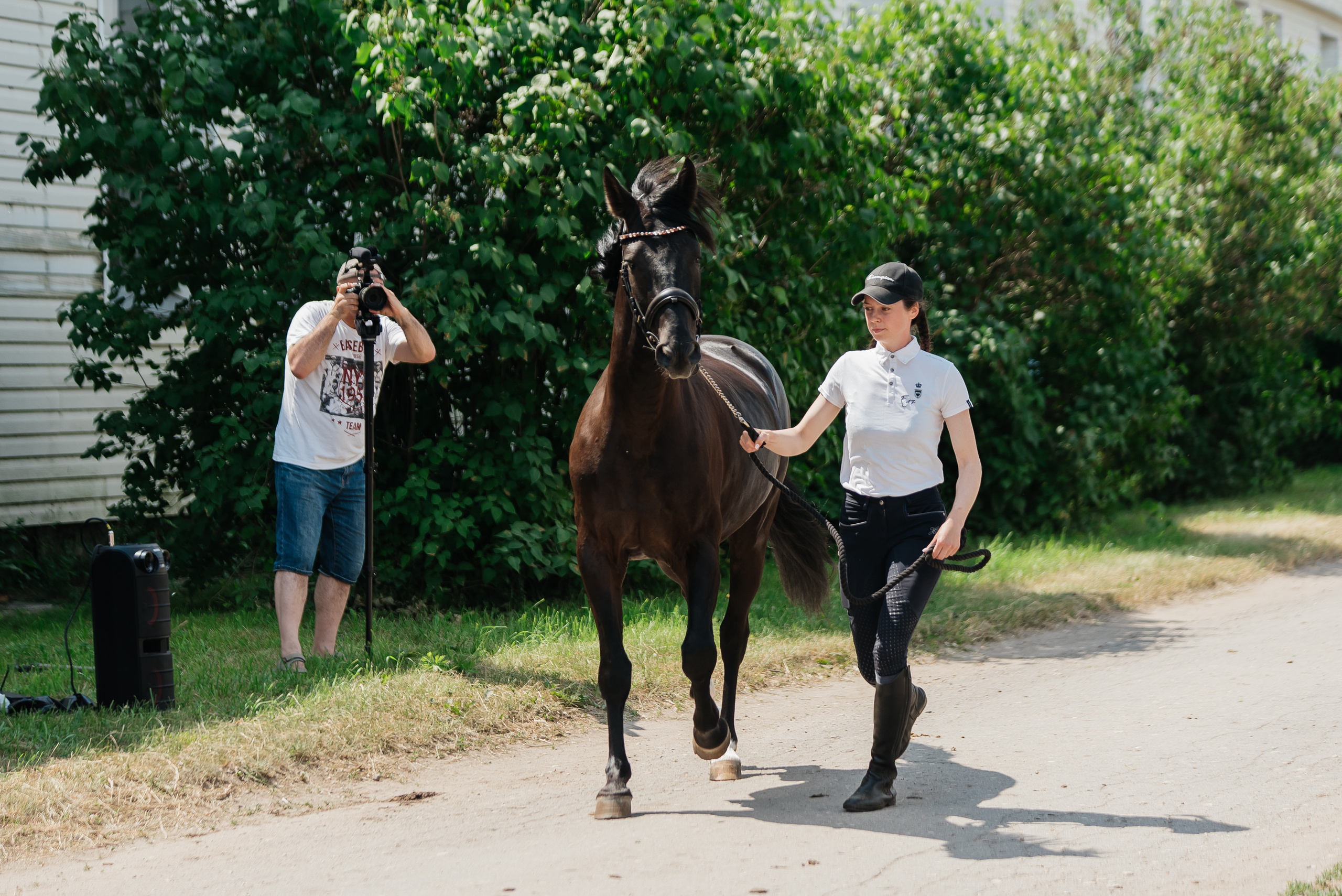 ВНИИК 17.06.2023. Кубок Евпатия Коловрата. Конкур. Фотограф Рязань
