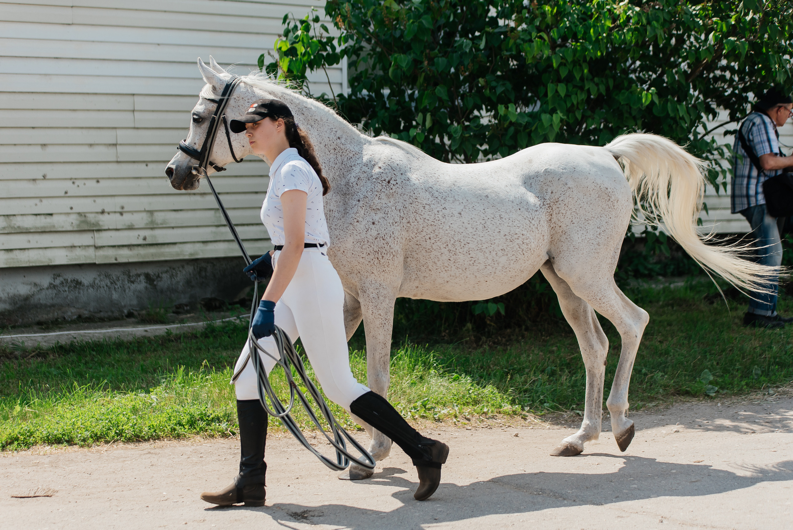 ВНИИК 17.06.2023. Кубок Евпатия Коловрата. Конкур. Фотограф Рязань