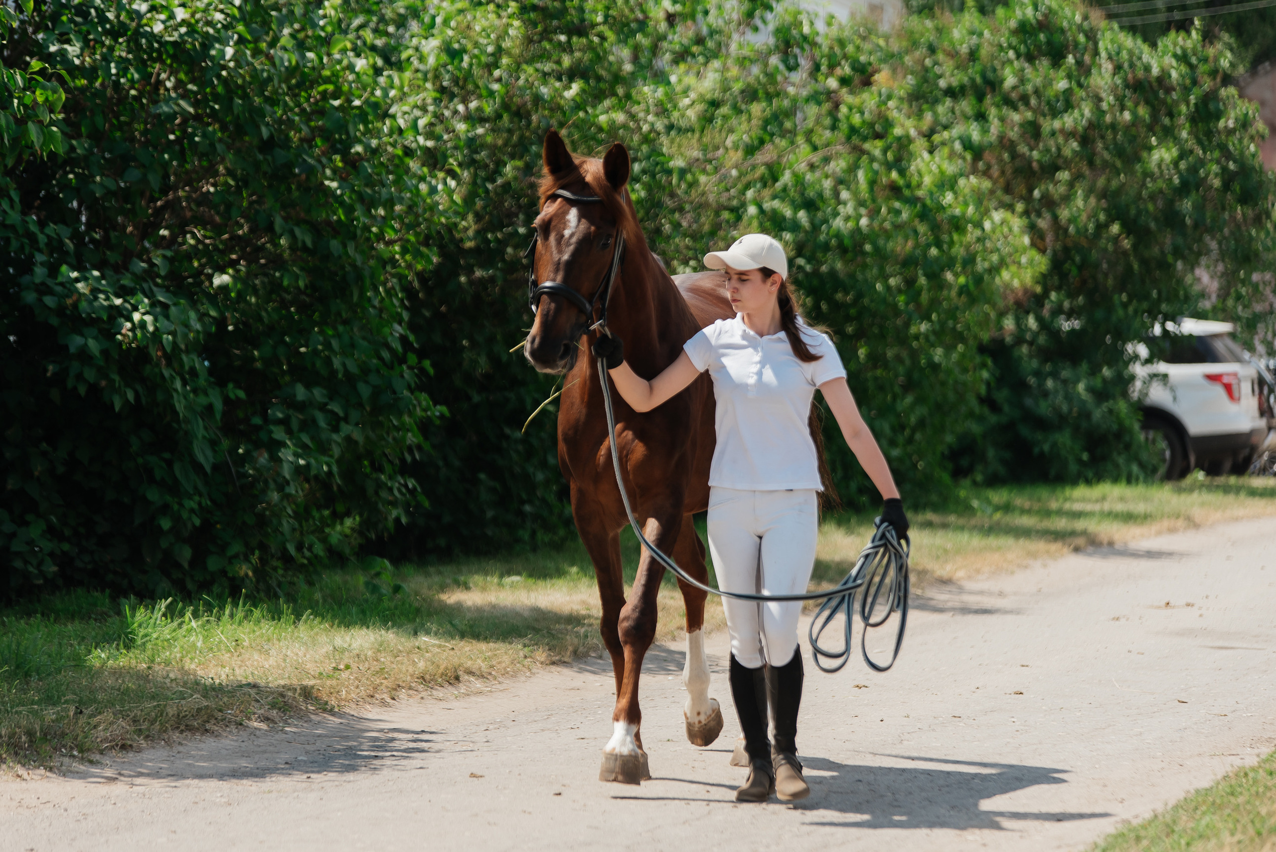 ВНИИК 17.06.2023. Кубок Евпатия Коловрата. Конкур. Фотограф Рязань