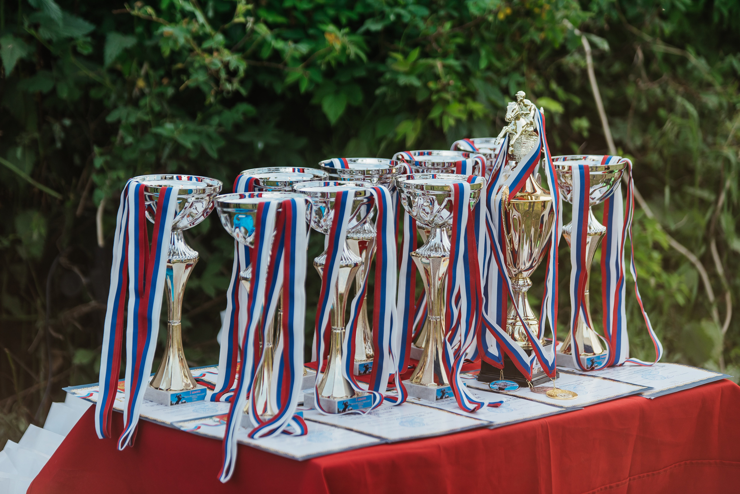 ВНИИК 17.06.2023. Кубок Евпатия Коловрата. Конкур. Фотограф Рязань