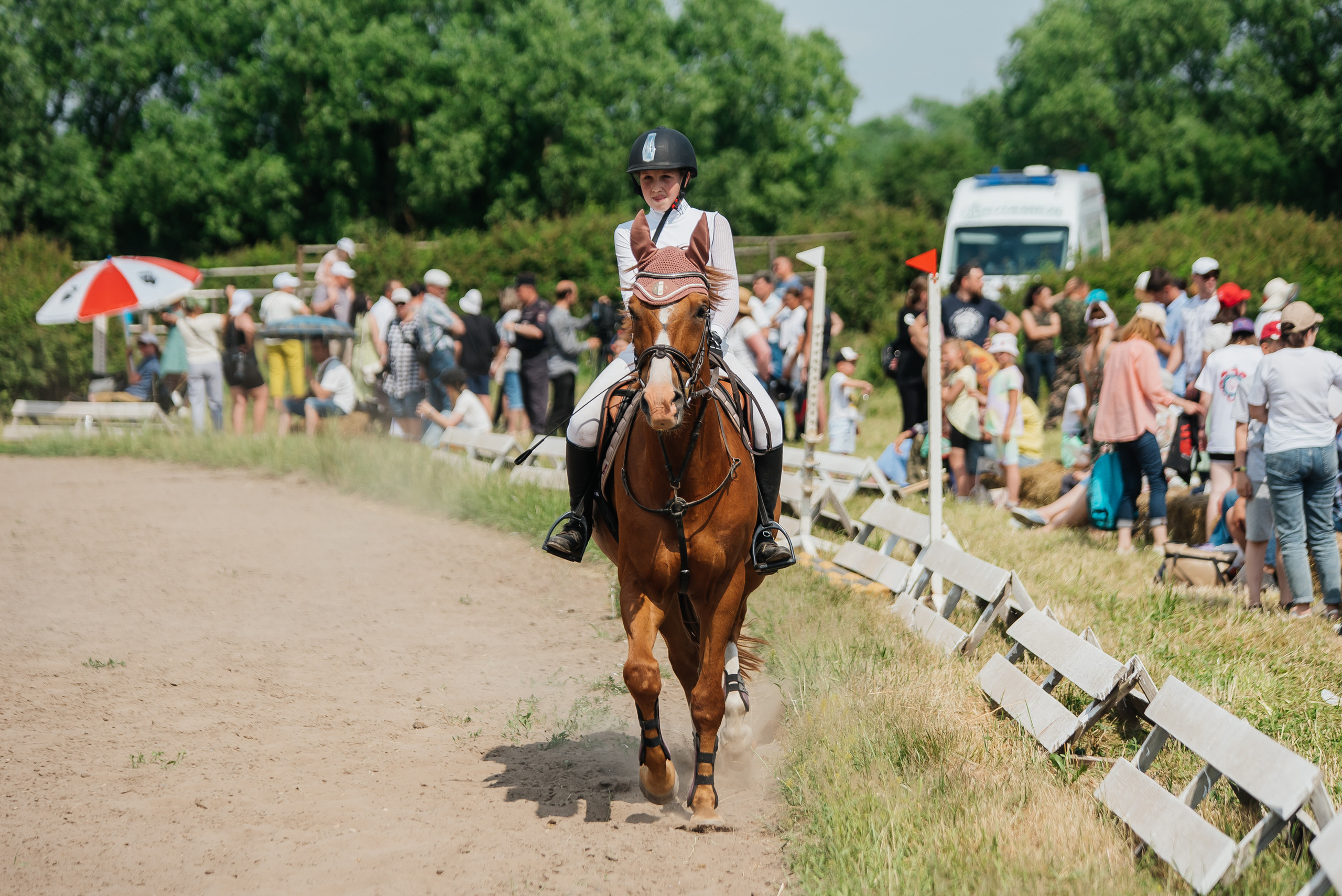 ВНИИК 17.06.2023. Кубок Евпатия Коловрата. Конкур. Фотограф Рязань