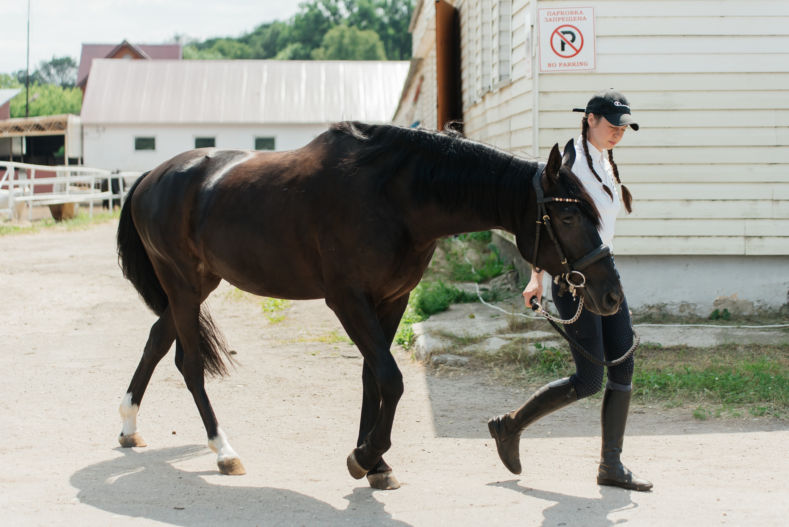 ВНИИК 17.06.2023. Кубок Евпатия Коловрата. Конкур. Фотограф Рязань