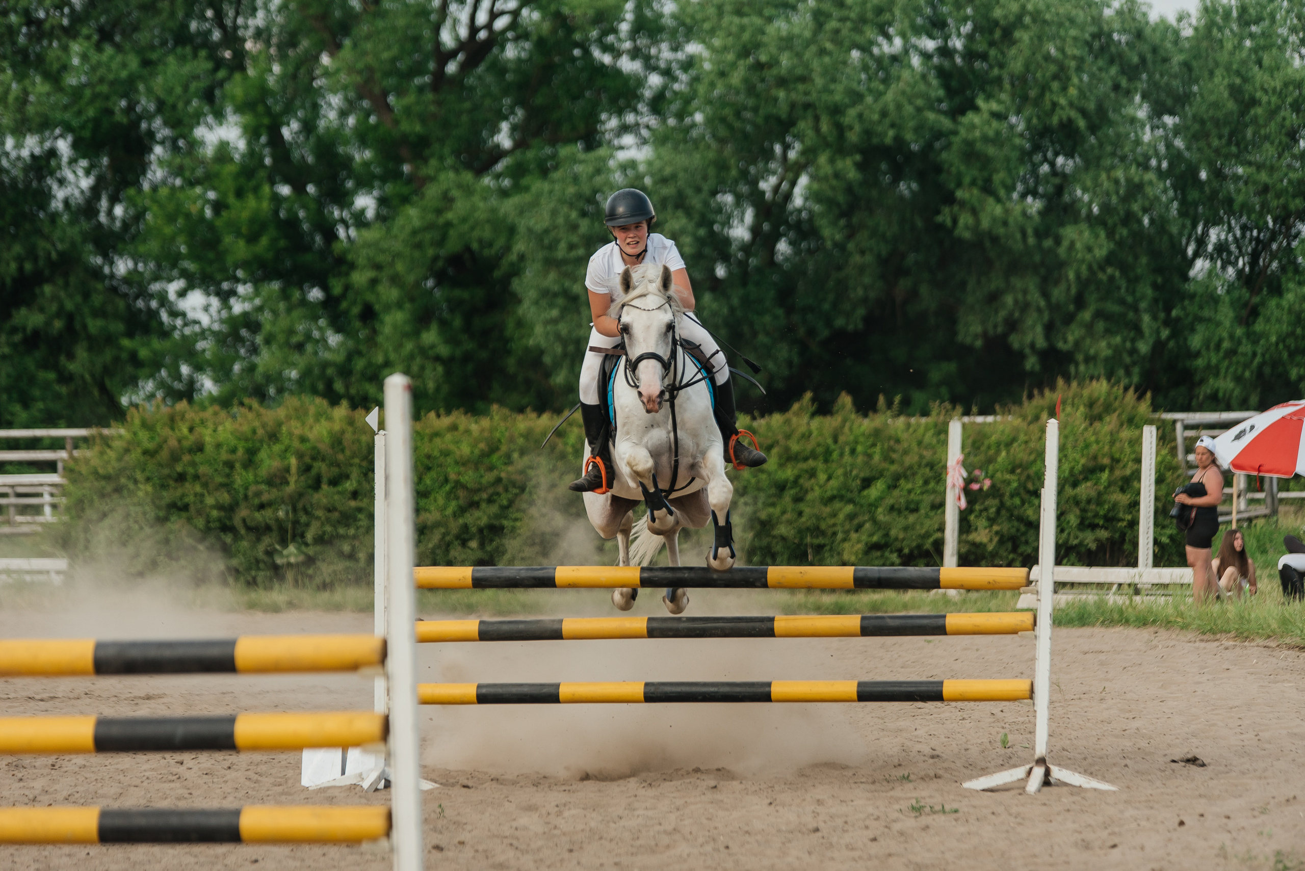 ВНИИК 17.06.2023. Кубок Евпатия Коловрата. Конкур. Фотограф Рязань