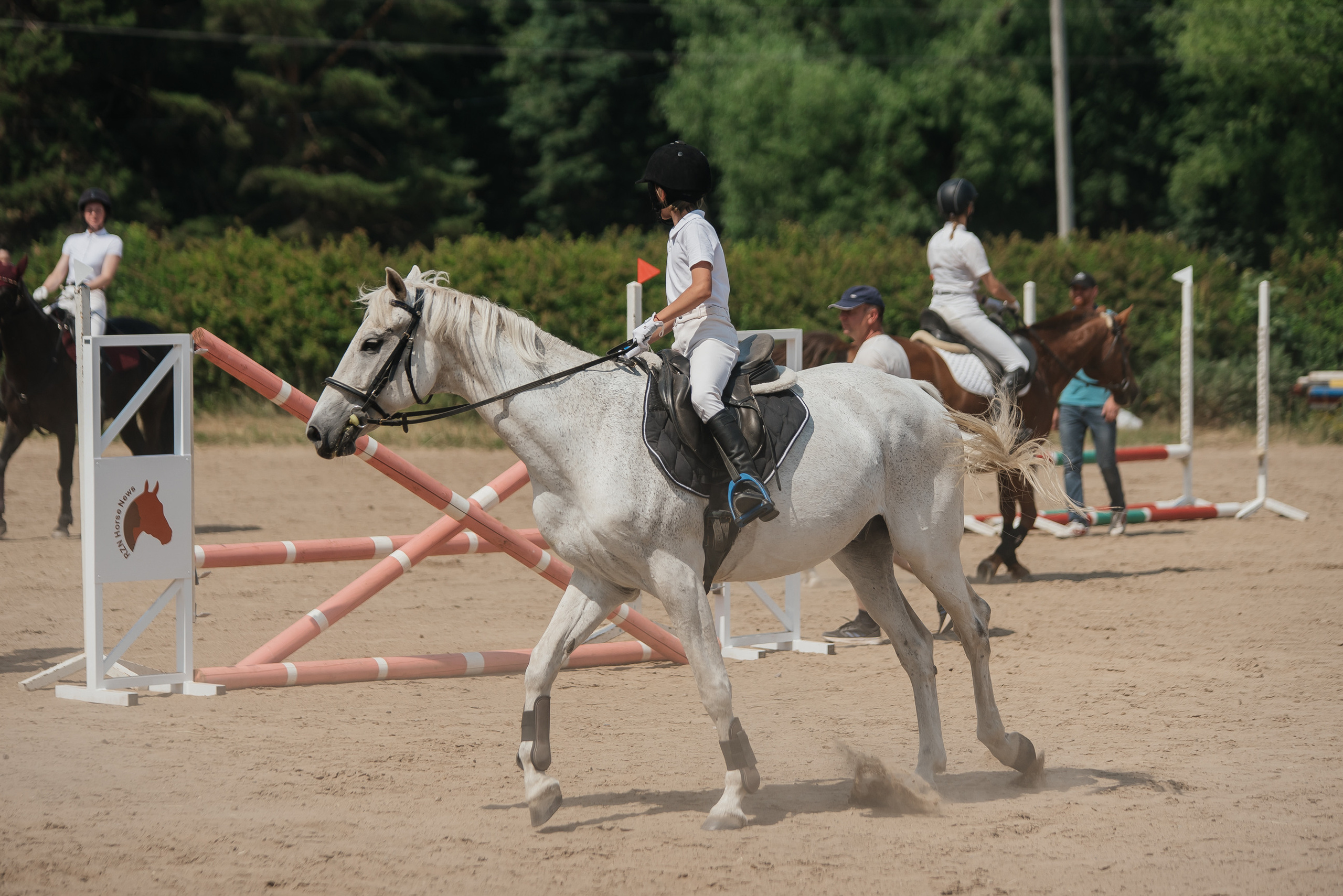 ВНИИК 17.06.2023. Кубок Евпатия Коловрата. Конкур. Фотограф Рязань