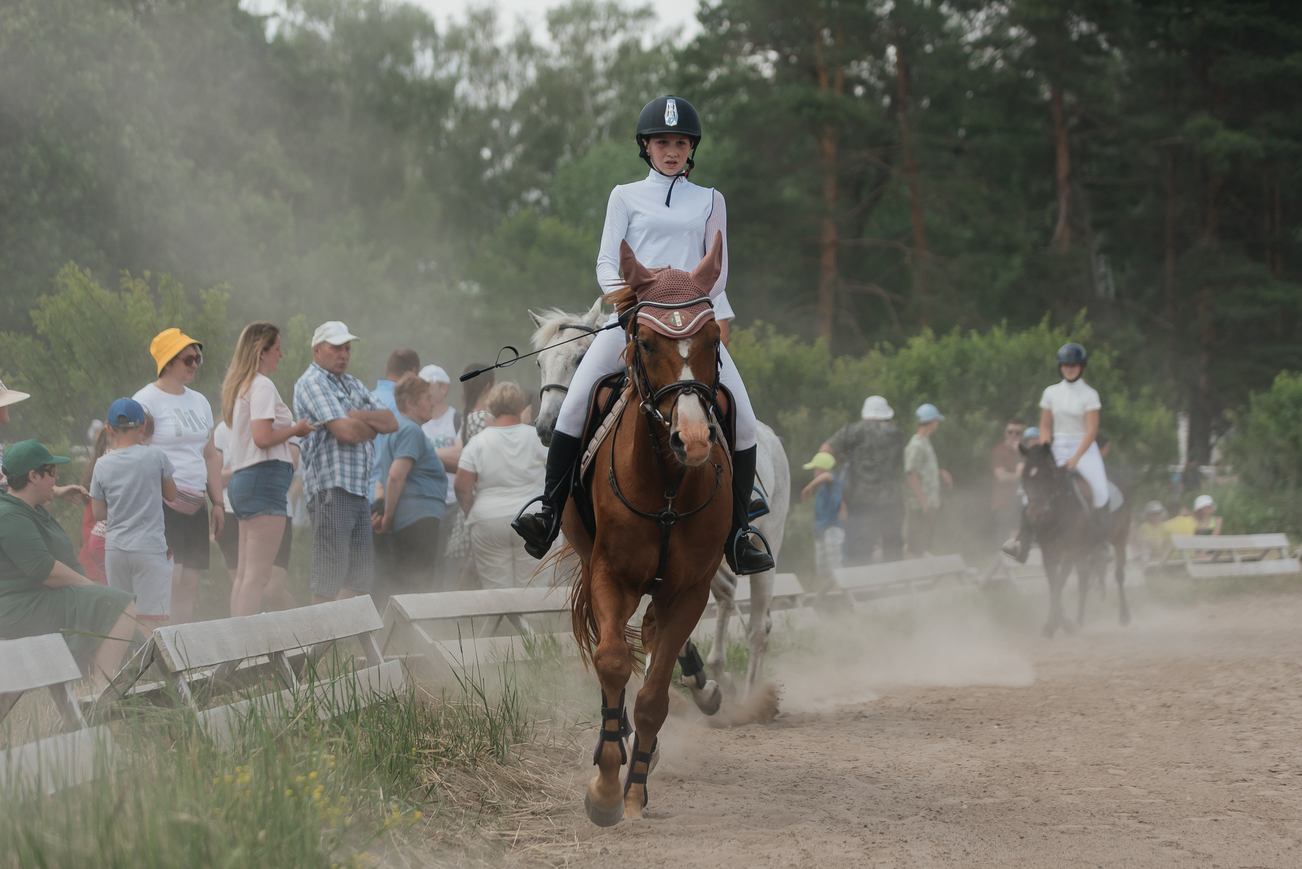 ВНИИК 17.06.2023. Кубок Евпатия Коловрата. Конкур. Фотограф Рязань