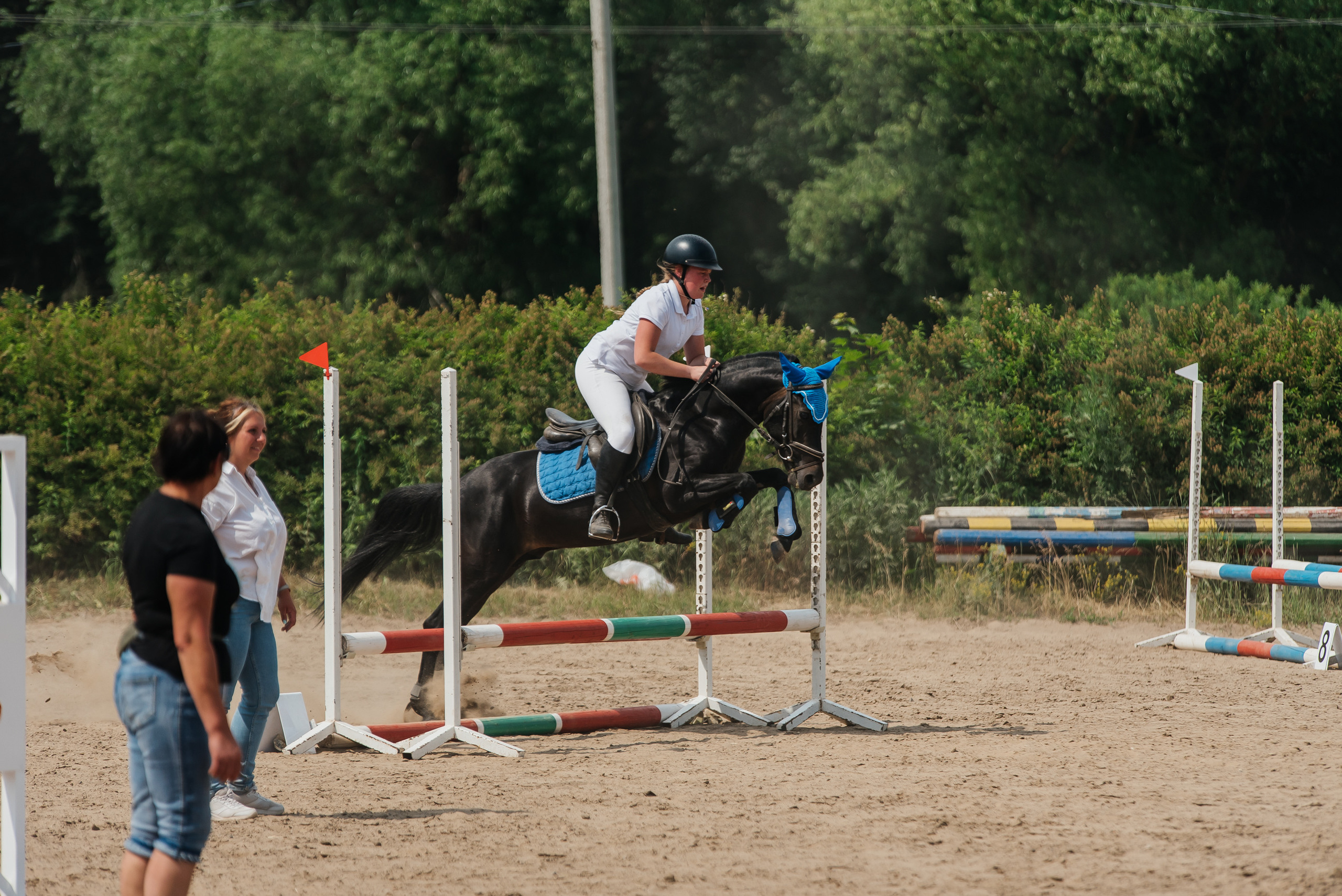 ВНИИК 17.06.2023. Кубок Евпатия Коловрата. Конкур. Фотограф Рязань