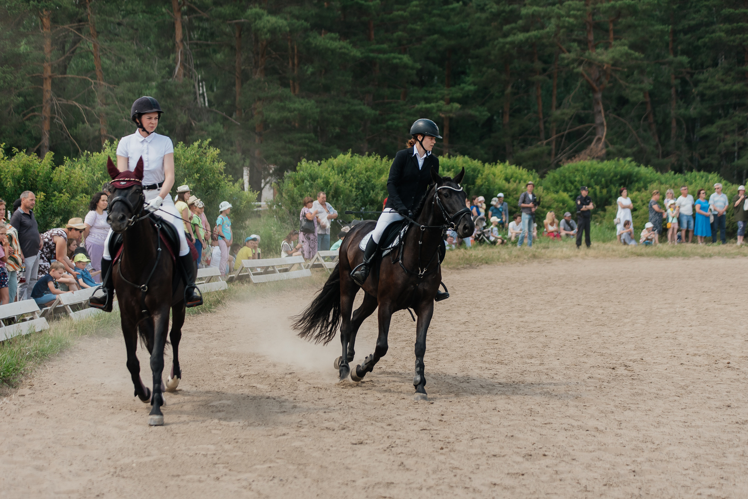 ВНИИК 17.06.2023. Кубок Евпатия Коловрата. Конкур. Фотограф Рязань