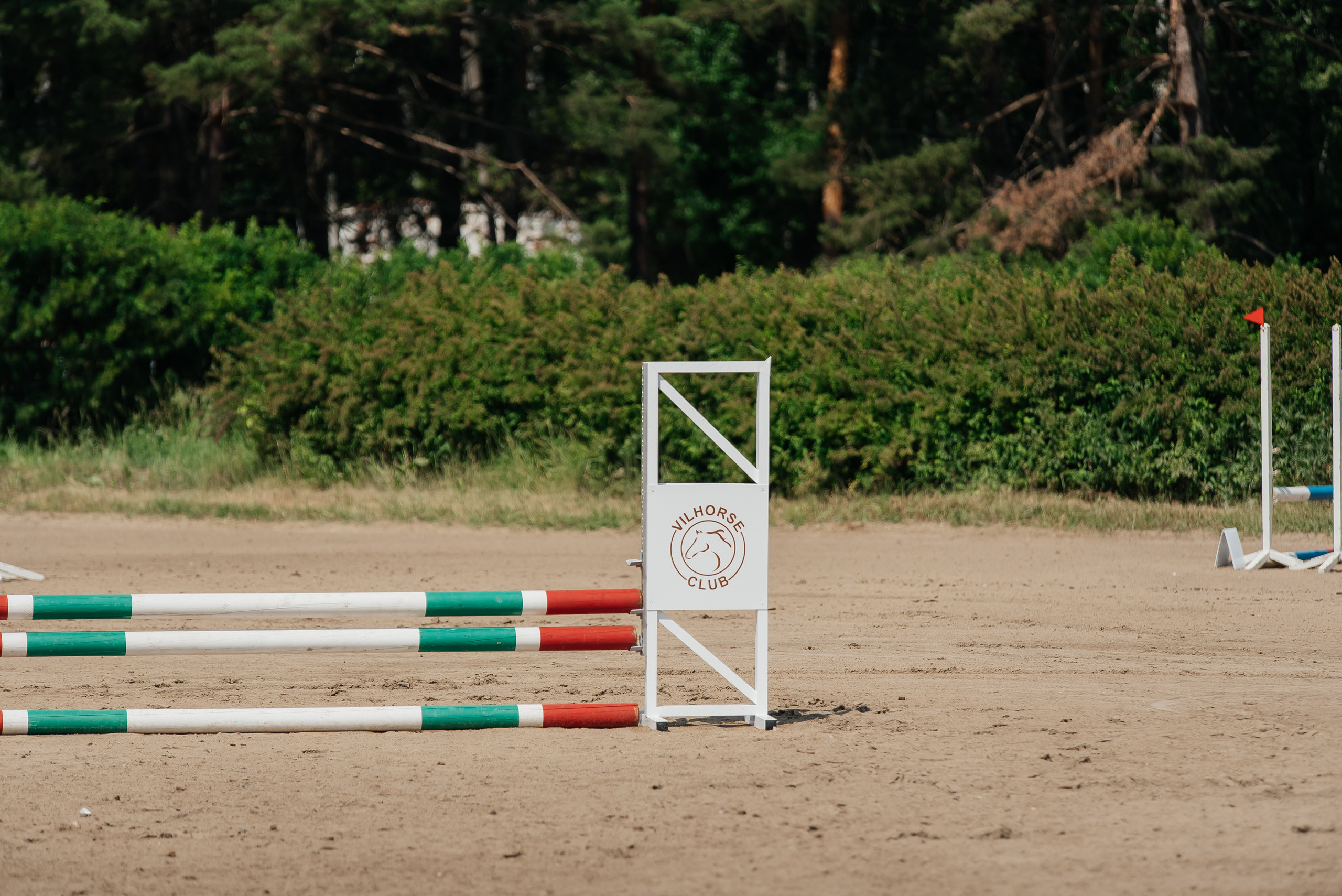 ВНИИК 17.06.2023. Кубок Евпатия Коловрата. Конкур. Фотограф Рязань