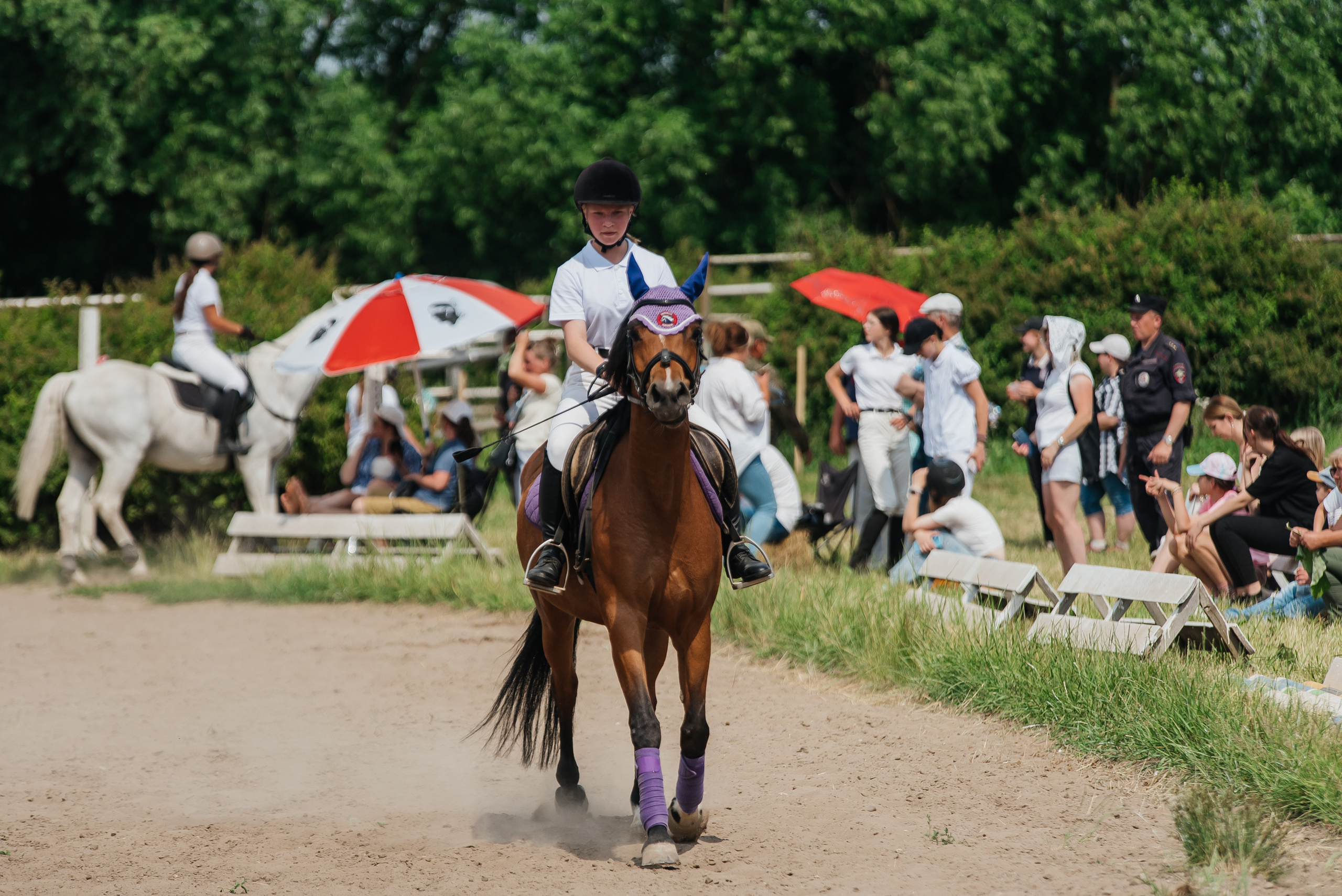 ВНИИК 17.06.2023. Кубок Евпатия Коловрата. Конкур. Фотограф Рязань