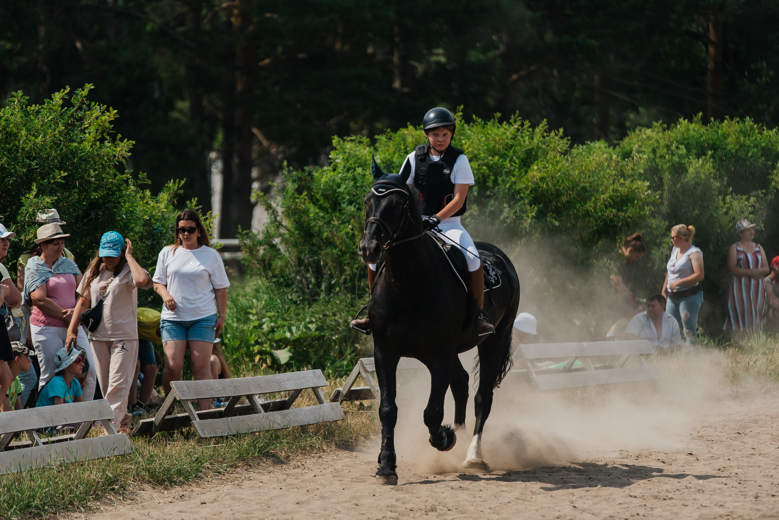 ВНИИК 17.06.2023. Кубок Евпатия Коловрата. Конкур. Фотограф Рязань