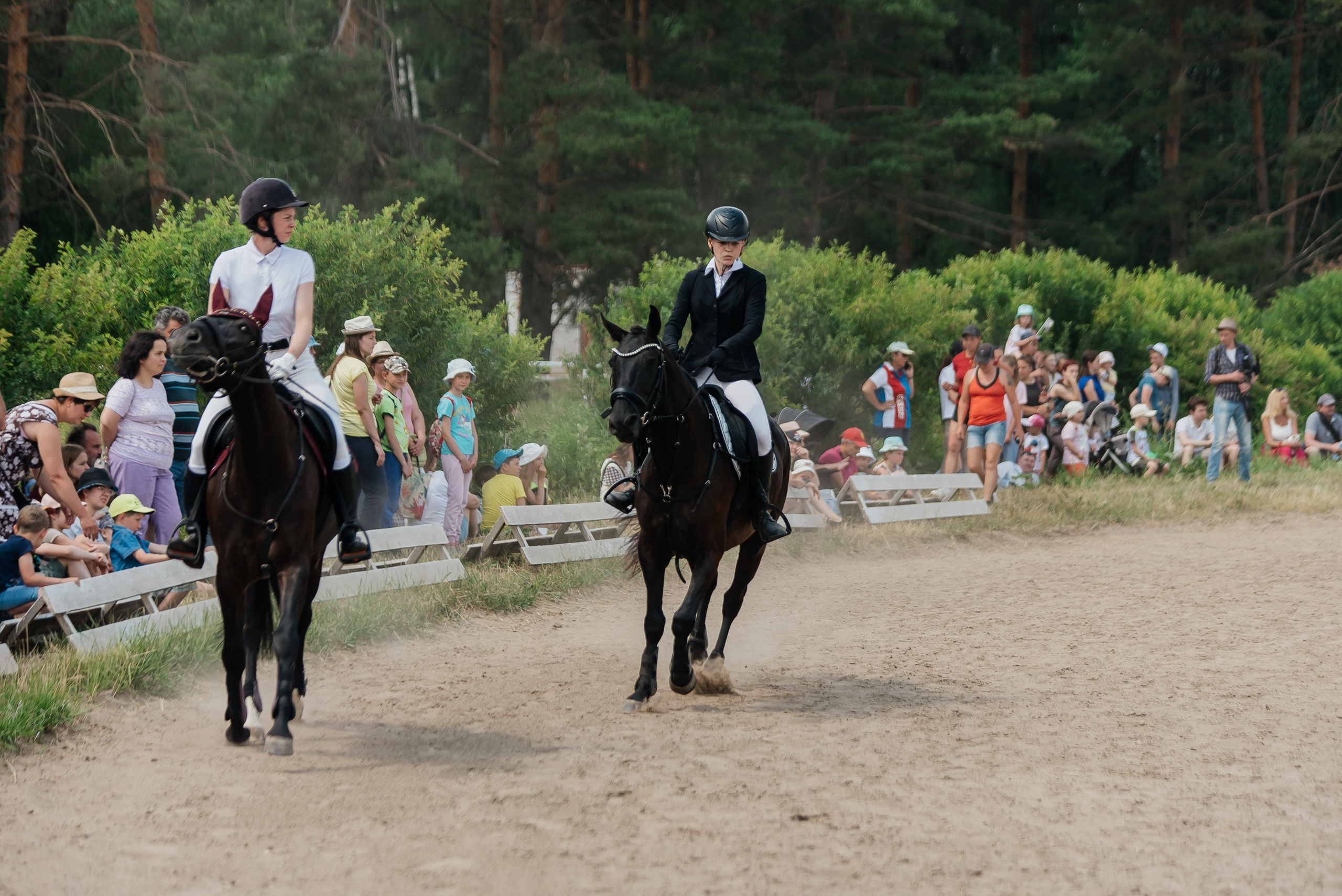 ВНИИК 17.06.2023. Кубок Евпатия Коловрата. Конкур. Фотограф Рязань