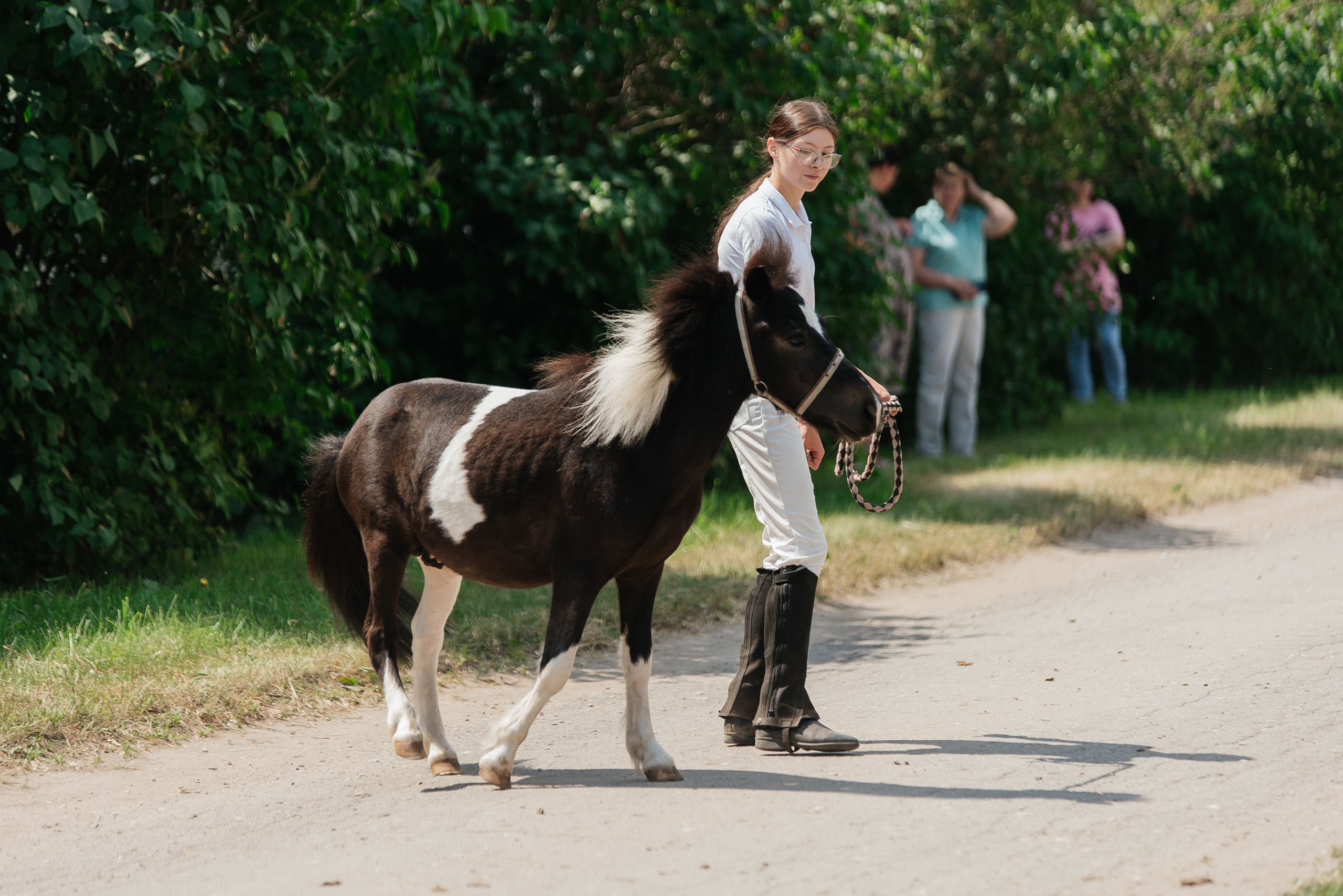 ВНИИК 17.06.2023. Кубок Евпатия Коловрата. Конкур. Фотограф Рязань