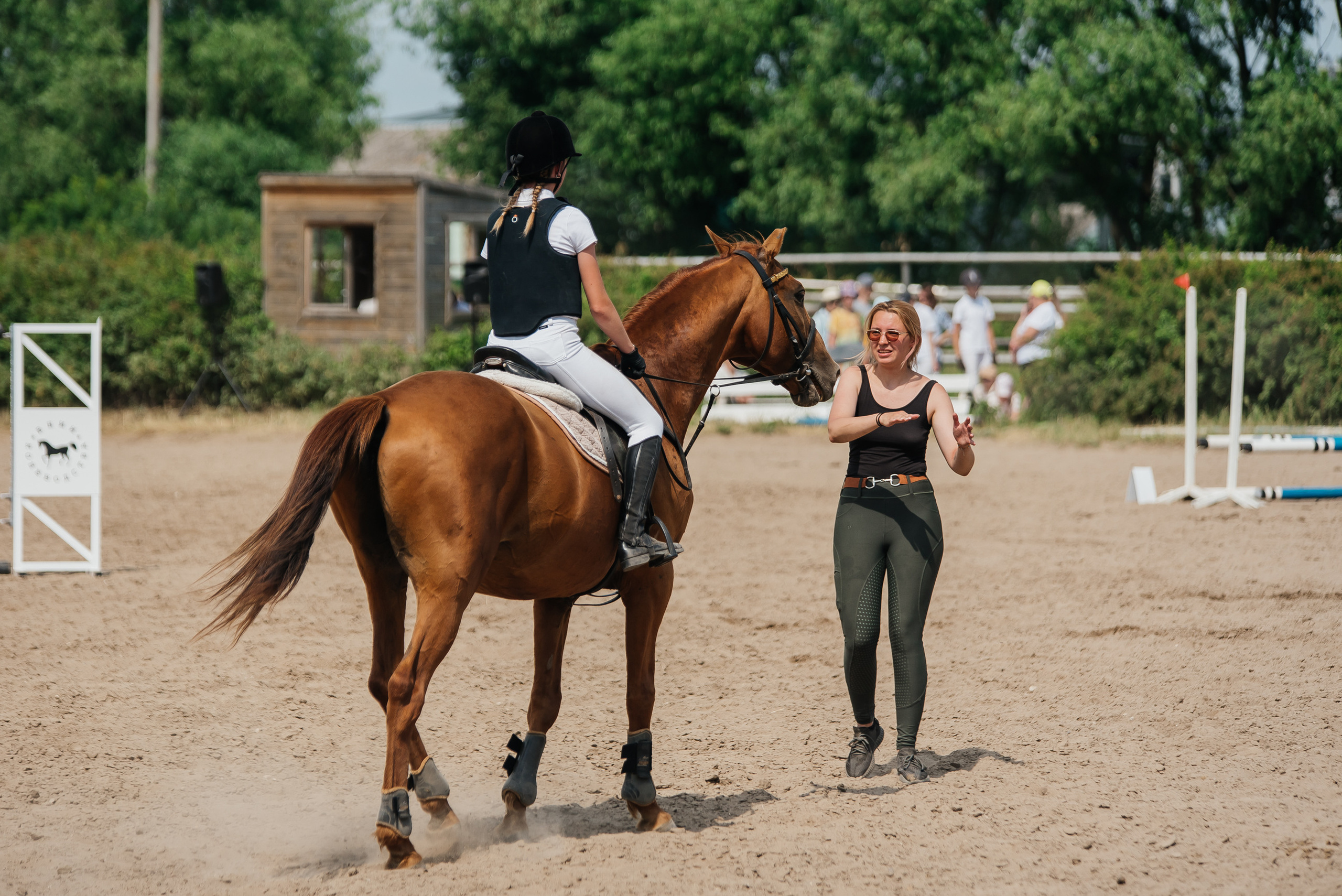 ВНИИК 17.06.2023. Кубок Евпатия Коловрата. Конкур. Фотограф Рязань