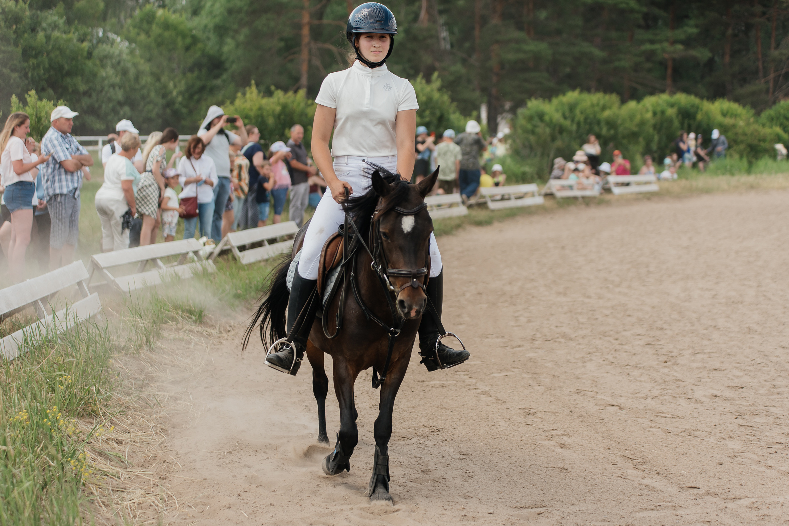 ВНИИК 17.06.2023. Кубок Евпатия Коловрата. Конкур. Фотограф Рязань
