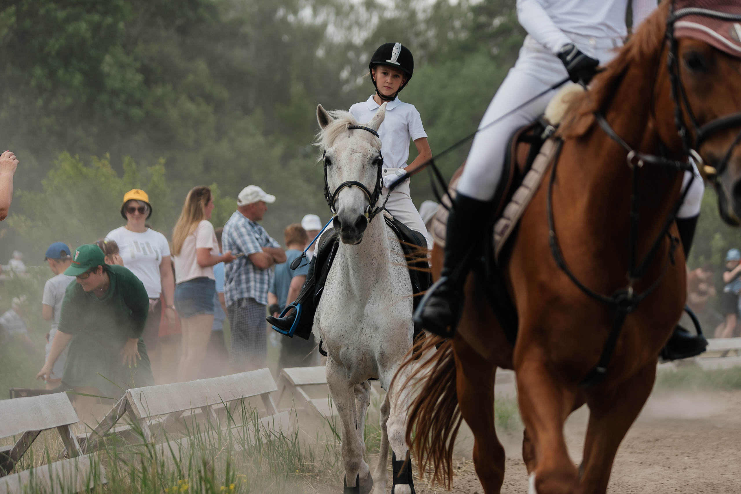 ВНИИК 17.06.2023. Кубок Евпатия Коловрата. Конкур. Фотограф Рязань