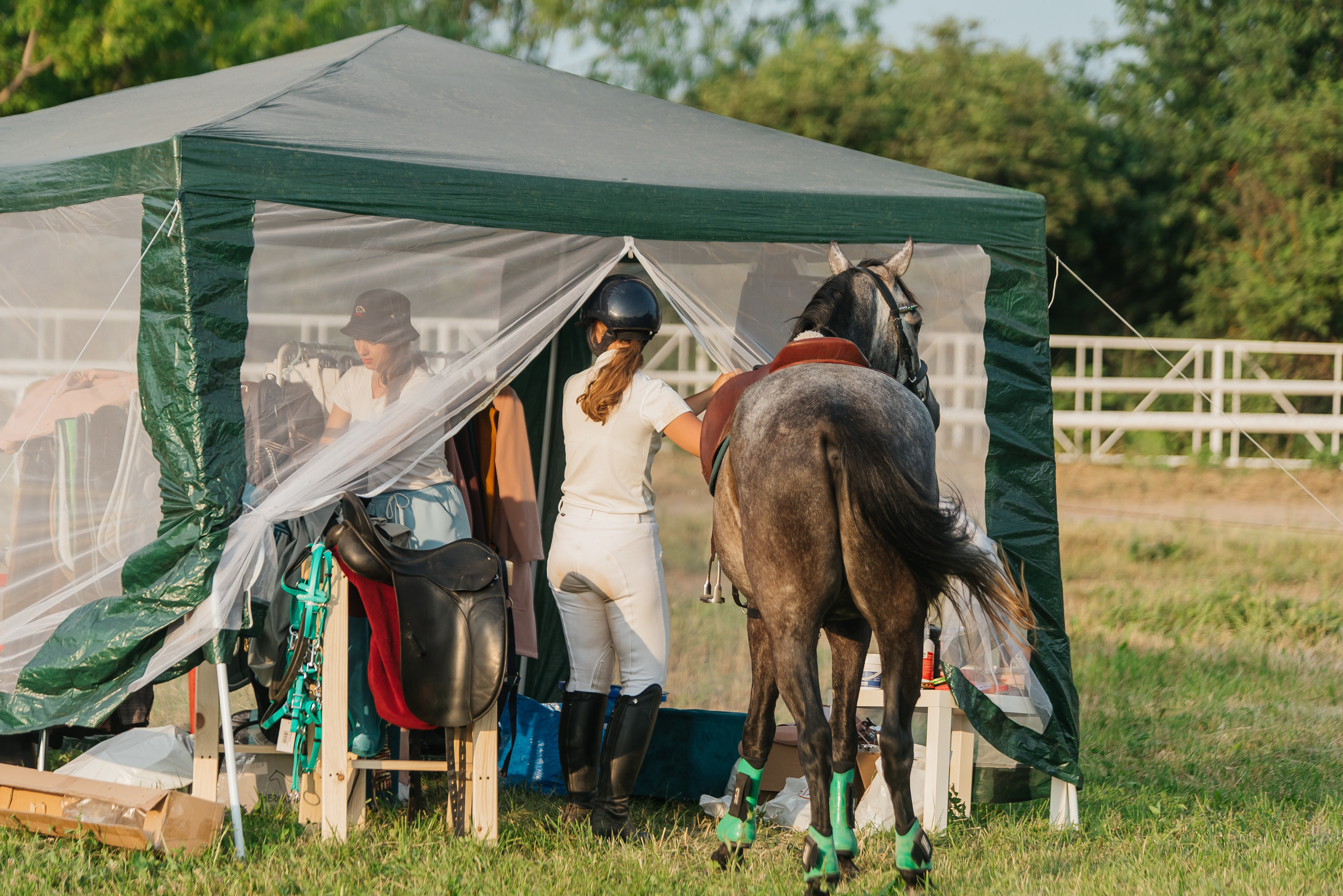 ВНИИК 17.06.2023. Кубок Евпатия Коловрата. Конкур. Фотограф Рязань